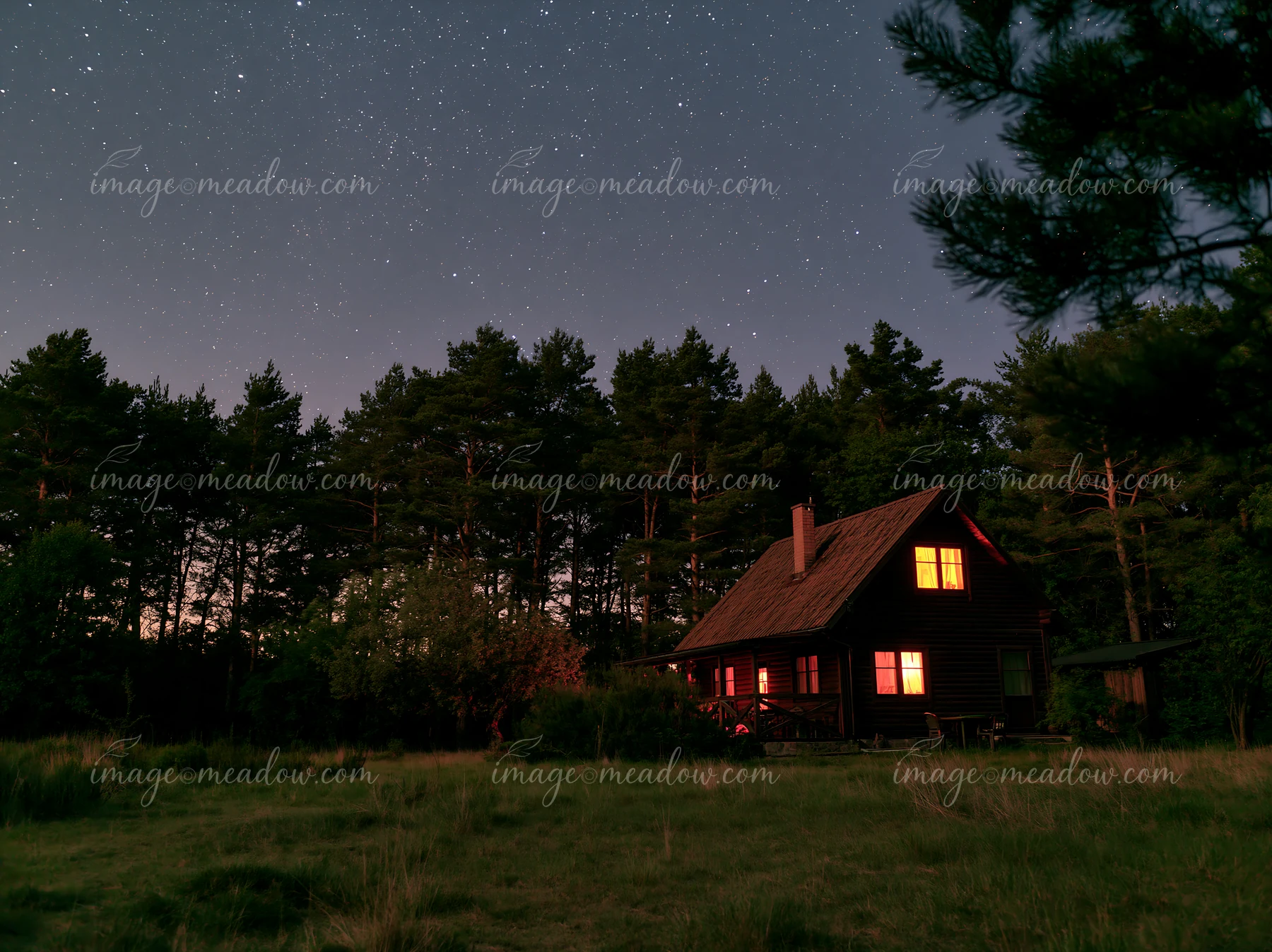 A villa stands peacefully beneath a star-filled sky, surrounded by trees.