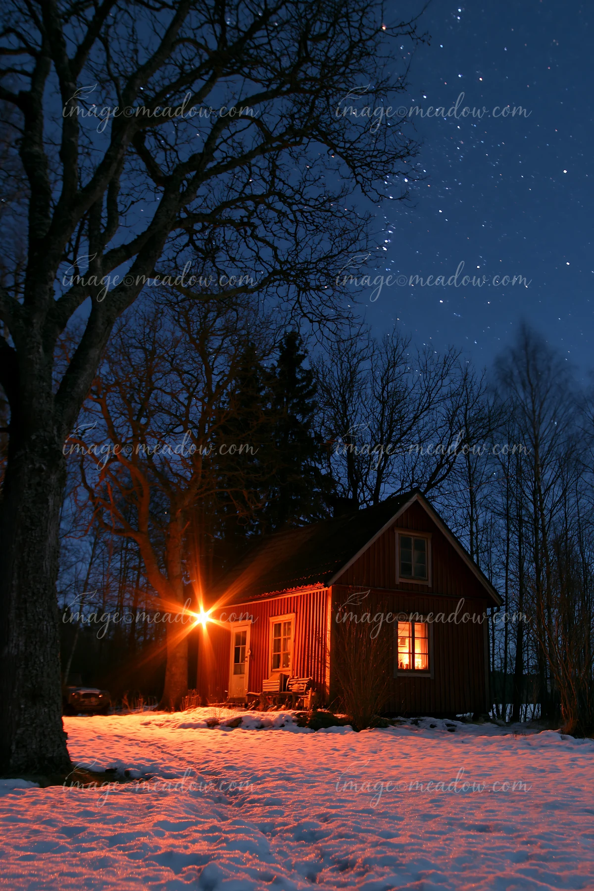 A warm light glows from the windows of a small home surrounded by trees on a clear winter night.