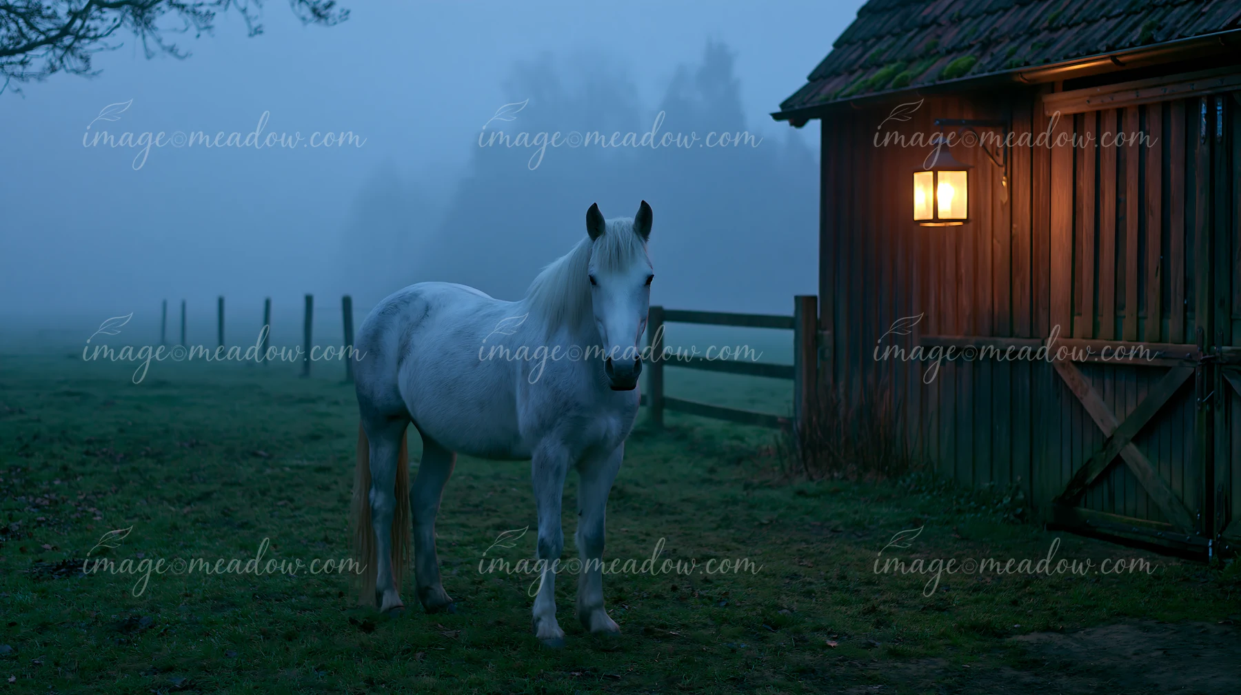 A white horse stands outside a stable, illuminated by warm light from a lantern.