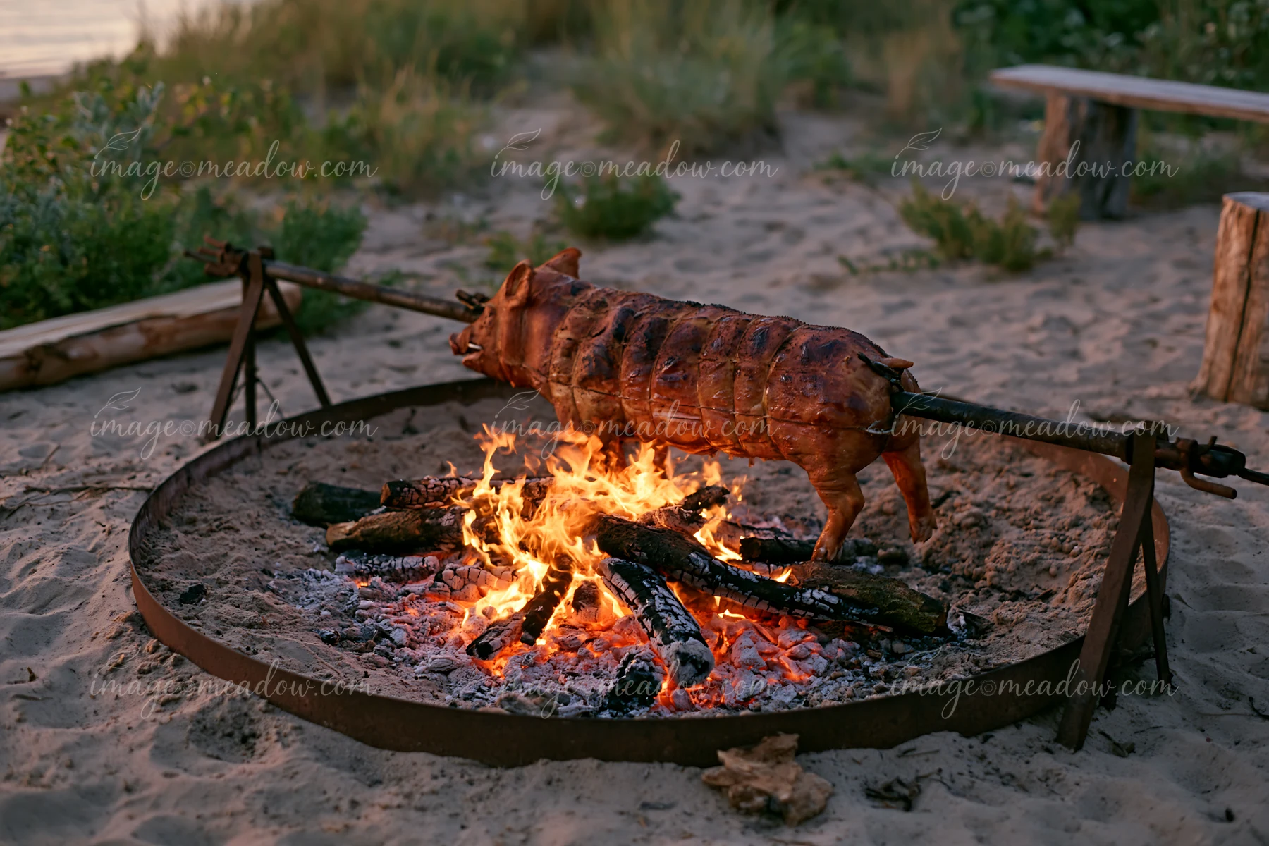 A whole pig is being roasted on a spit over an open fire in a sandy area near a body of water.