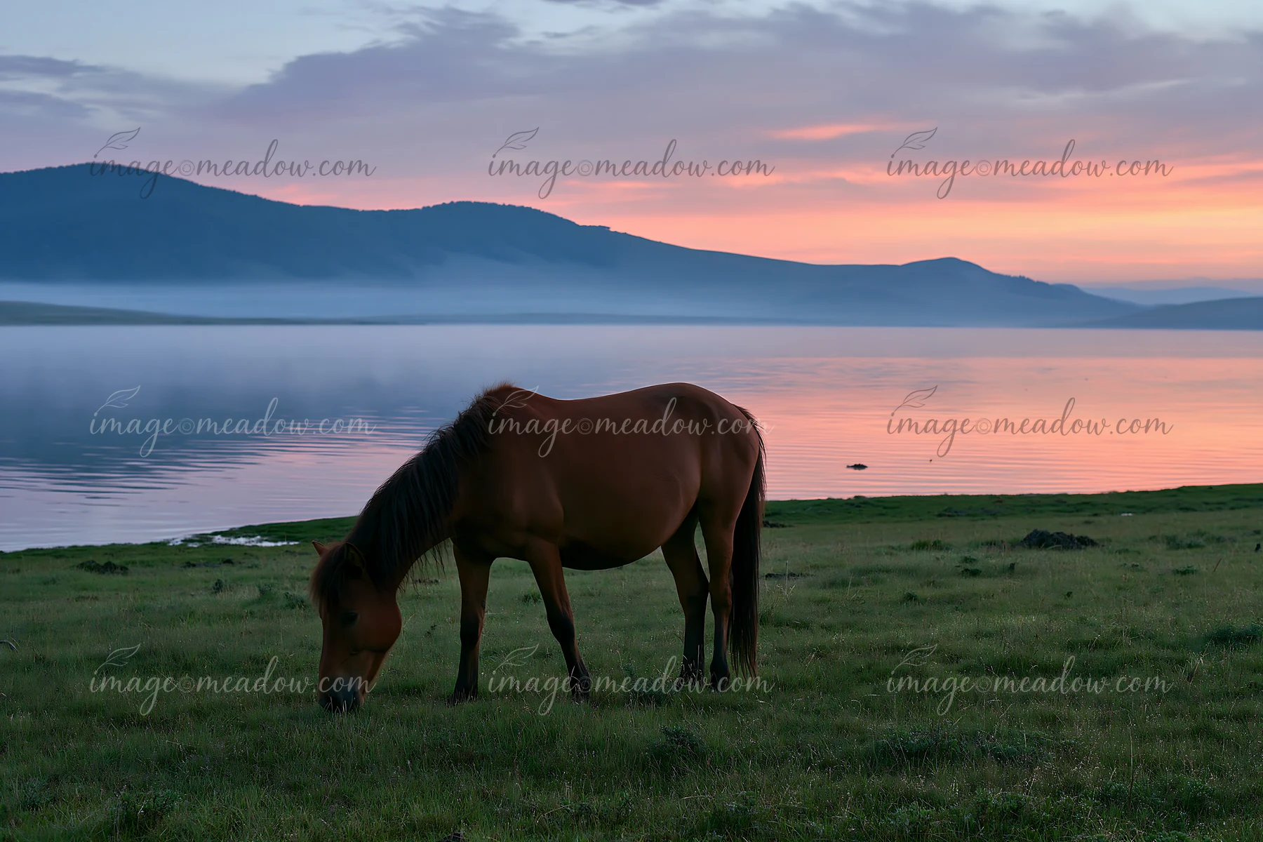 A wild horse grazes beside a lake with mountains in the background during sunset.
