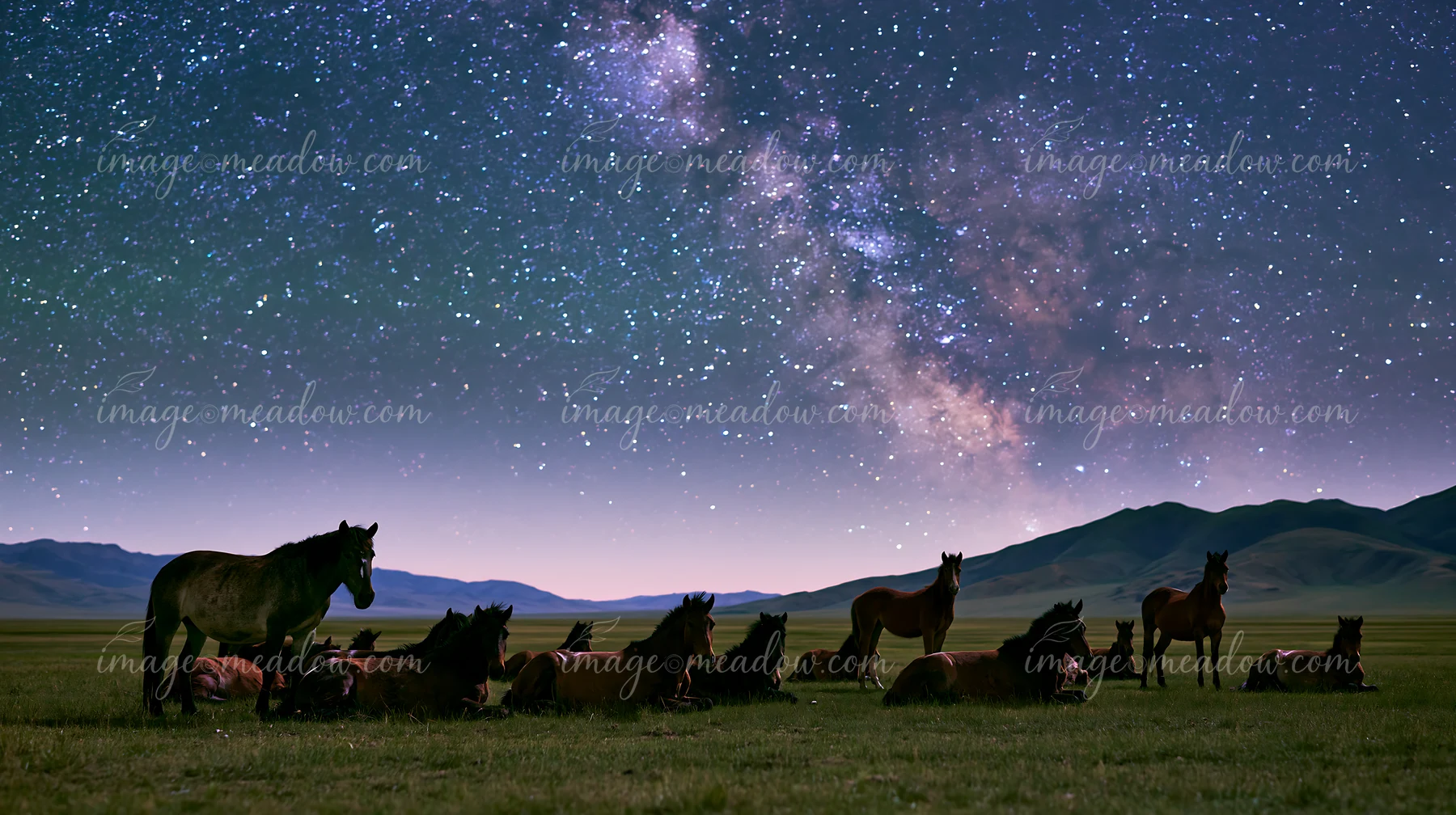 A wild horse herd silhouetted against stars graze and rest under a clear night sky, with a backdrop of mountains and the Milky Way shining brightly.