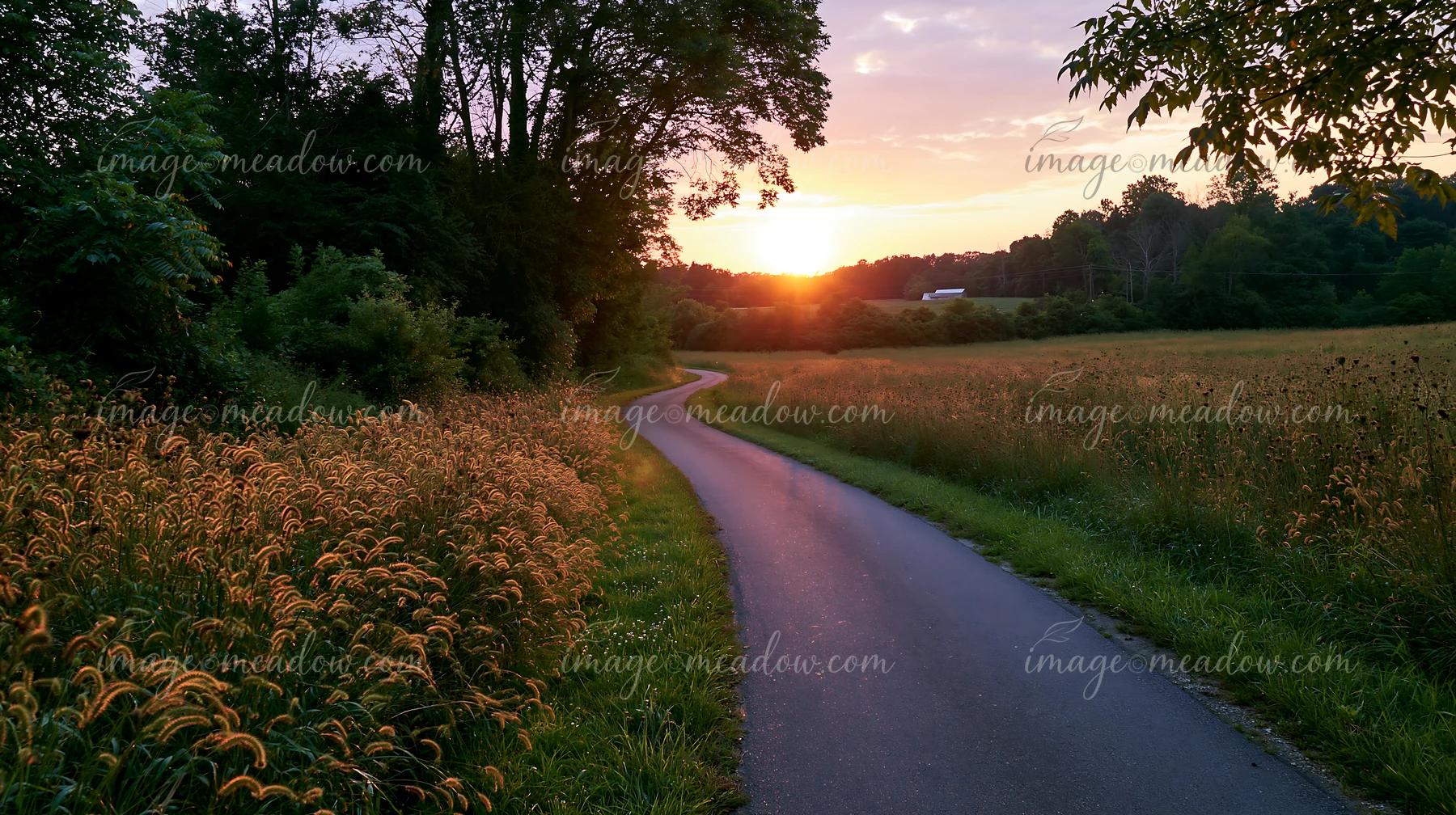 A winding road curves beside a meadow as the sun sets in the background.