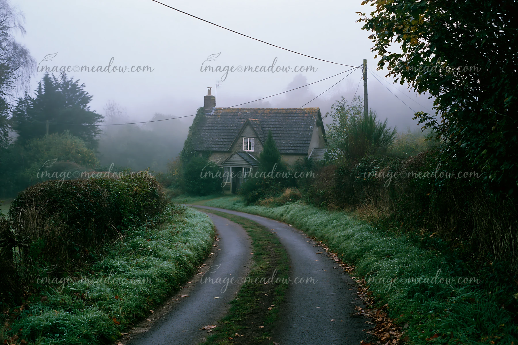 A winding road leads to a cottage set in a misty countryside, with trees and bushes surrounding the area.