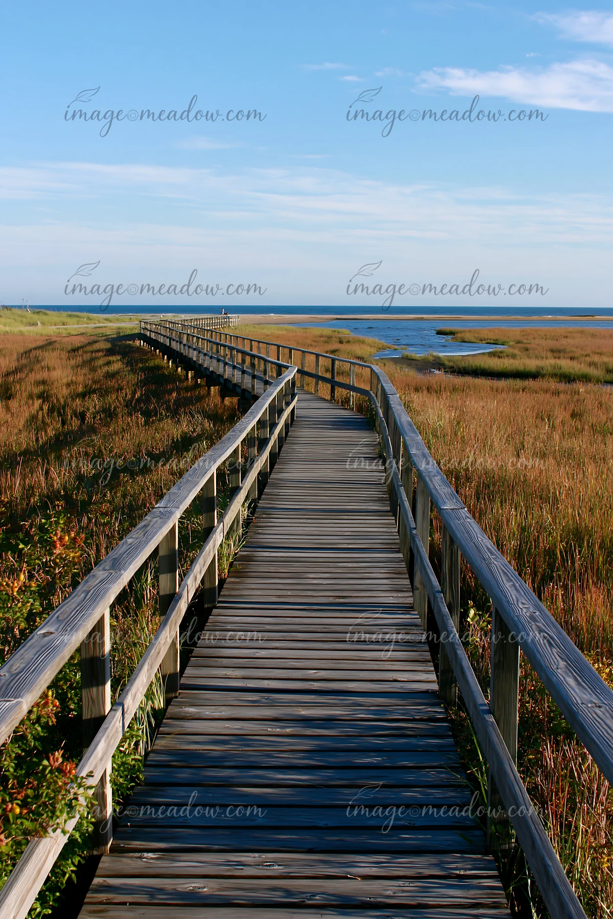 A wooden boardwalk stretches through a salt marsh, offering access to the coastline.