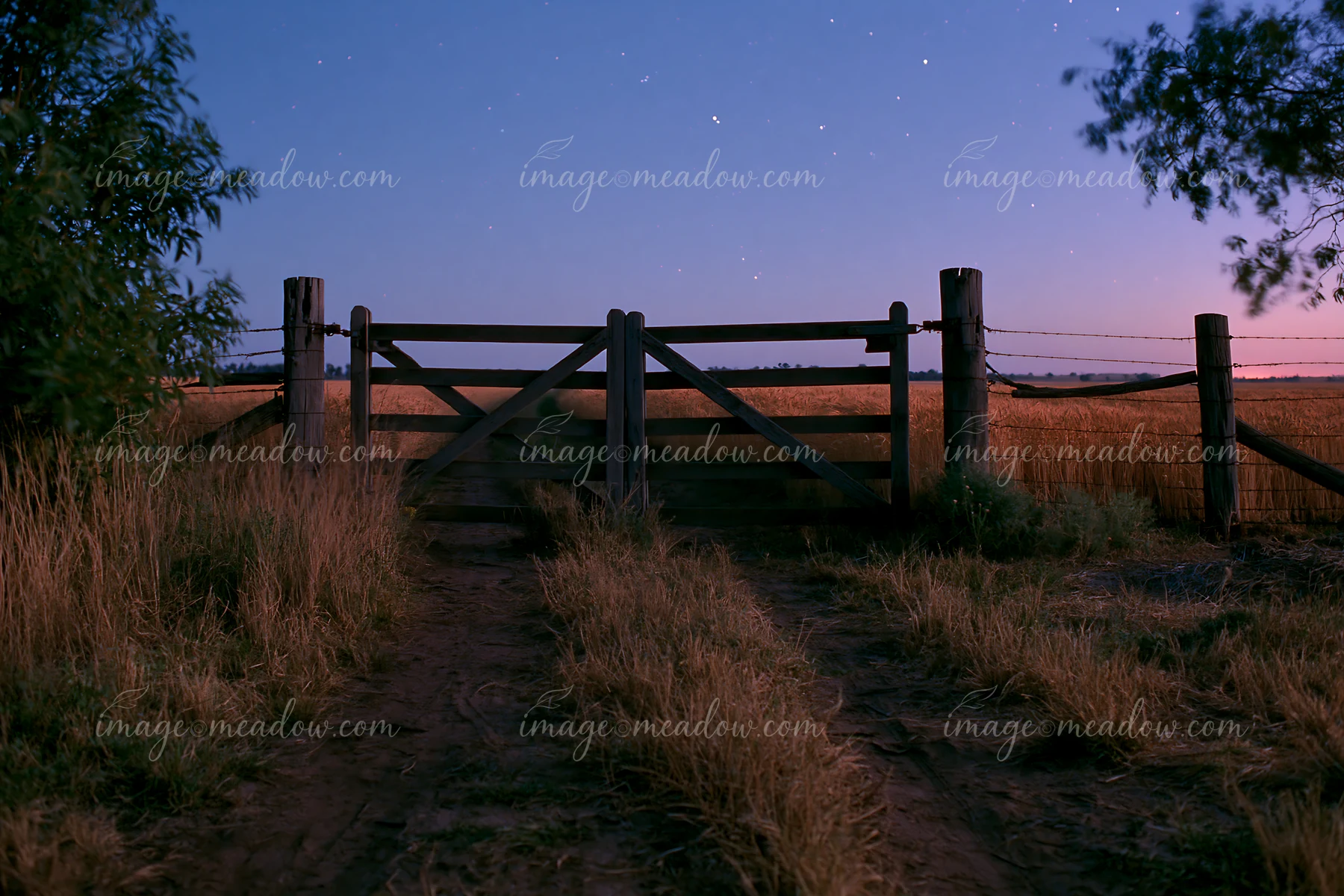 A wooden gate stands open at the edge of a wheat field under a starry night sky.