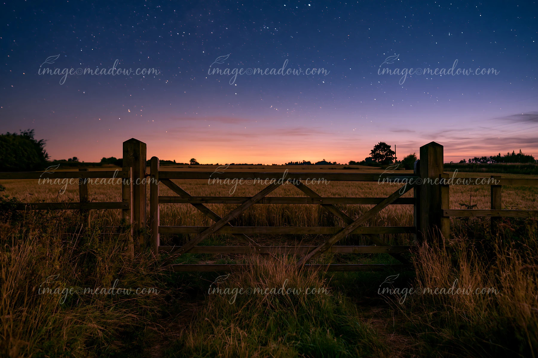 A wooden gate stands open at the edge of a wheat field under a starry night sky.