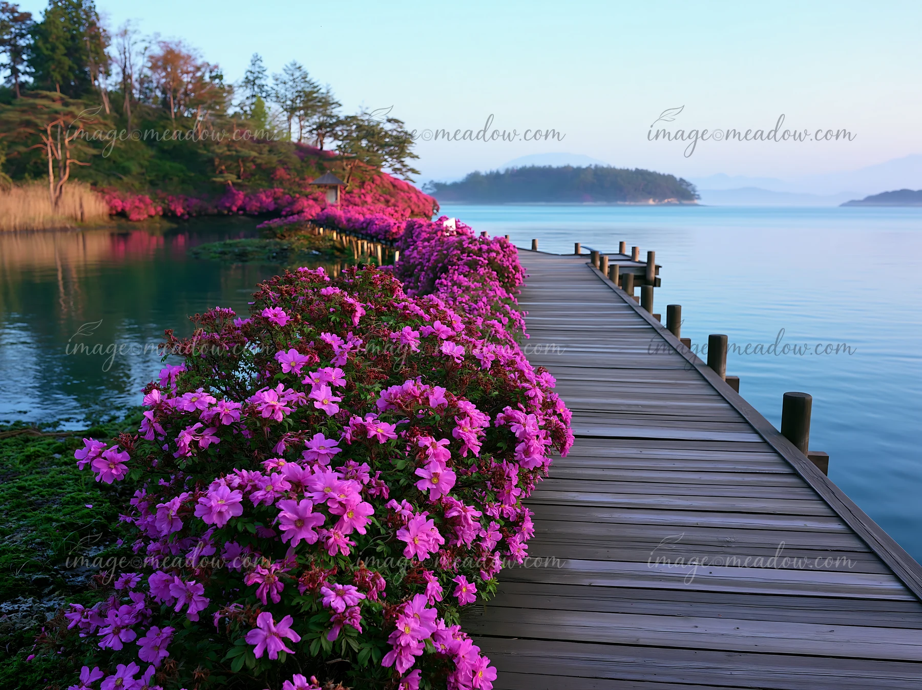 A wooden pier extends over calm water surrounded by vibrant flowers.