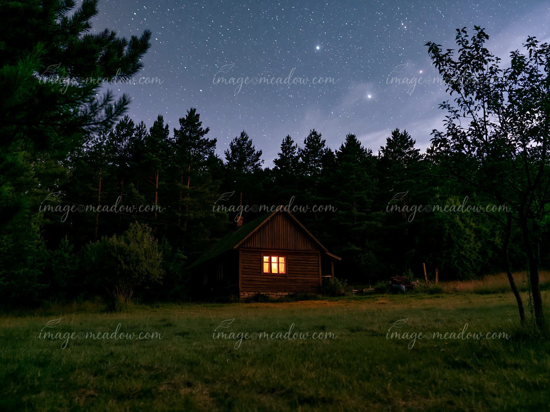 A wooden villa stands surrounded by trees in a grassy field, illuminated by stars in the night sky.