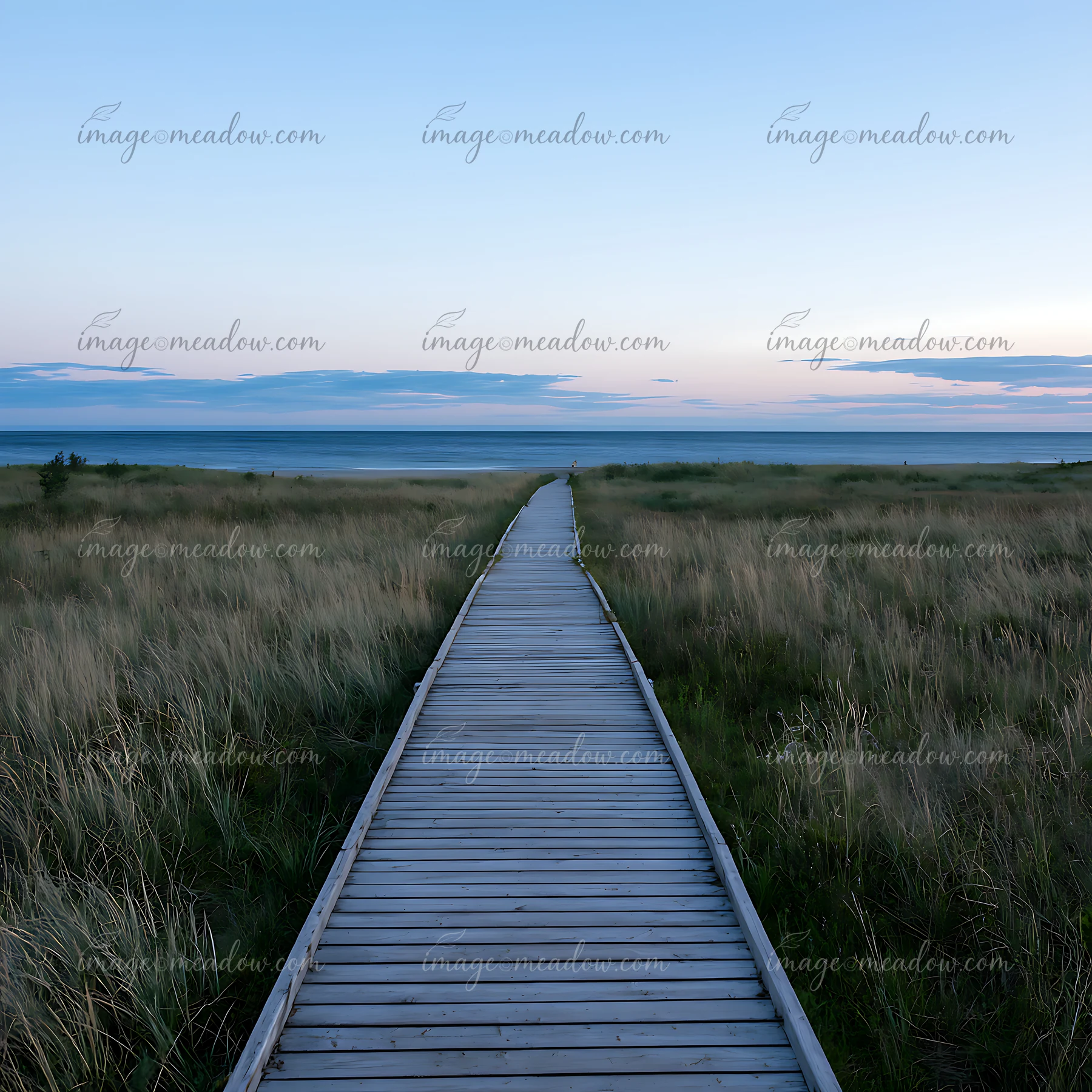 A wooden walkway runs through tall grass toward the ocean horizon at dusk.