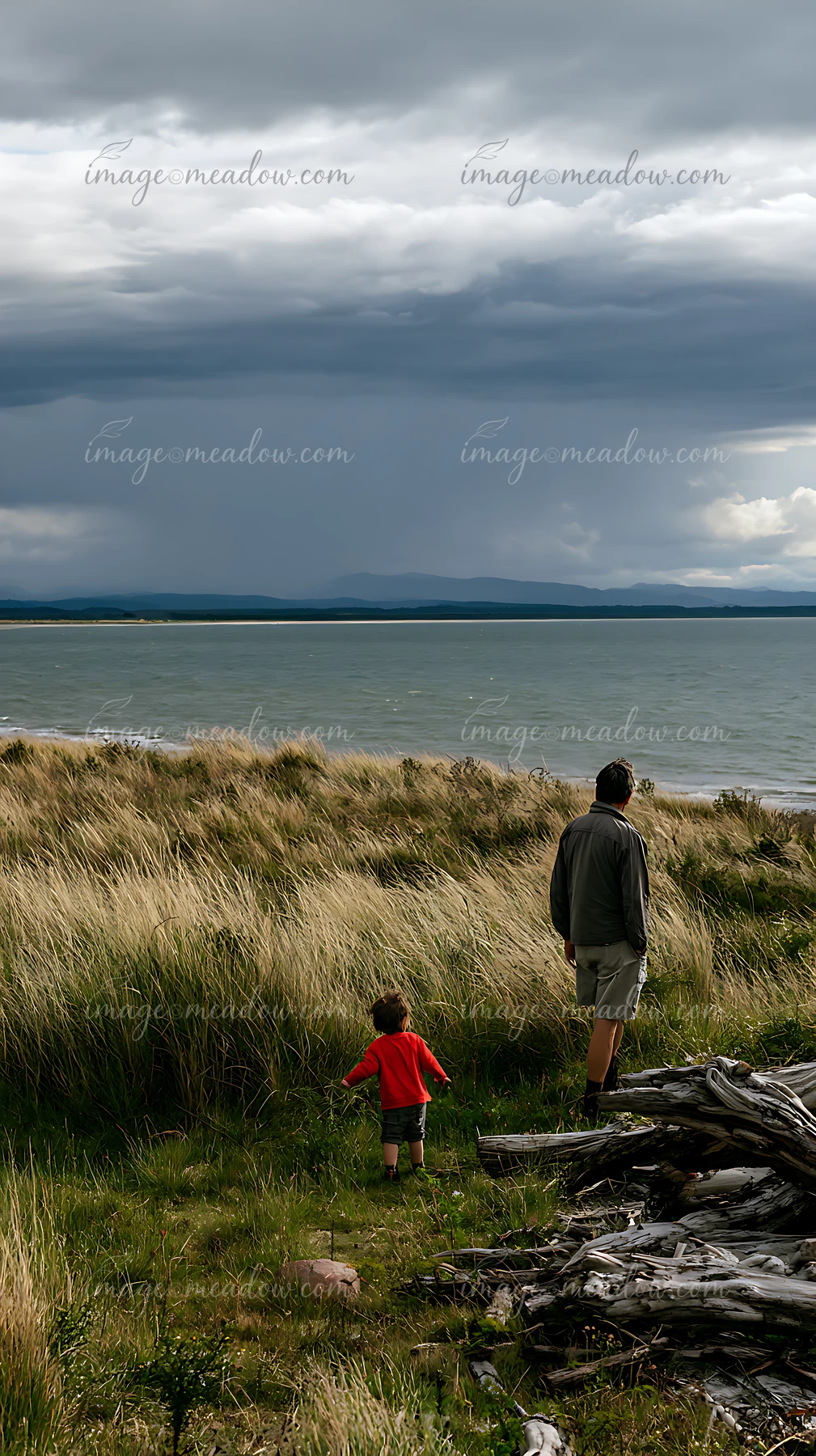 Adult and child walk through coastal grass toward the sea beneath dramatic storm clouds.