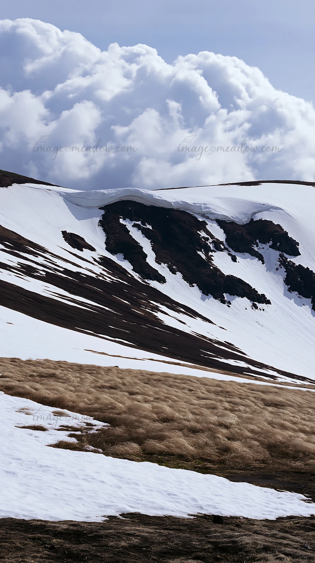 Snow is melting in the Akita meadow, revealing silver grasses. The landscape shows a contrast of snow and dried grass against a cloudy sky in early spring.