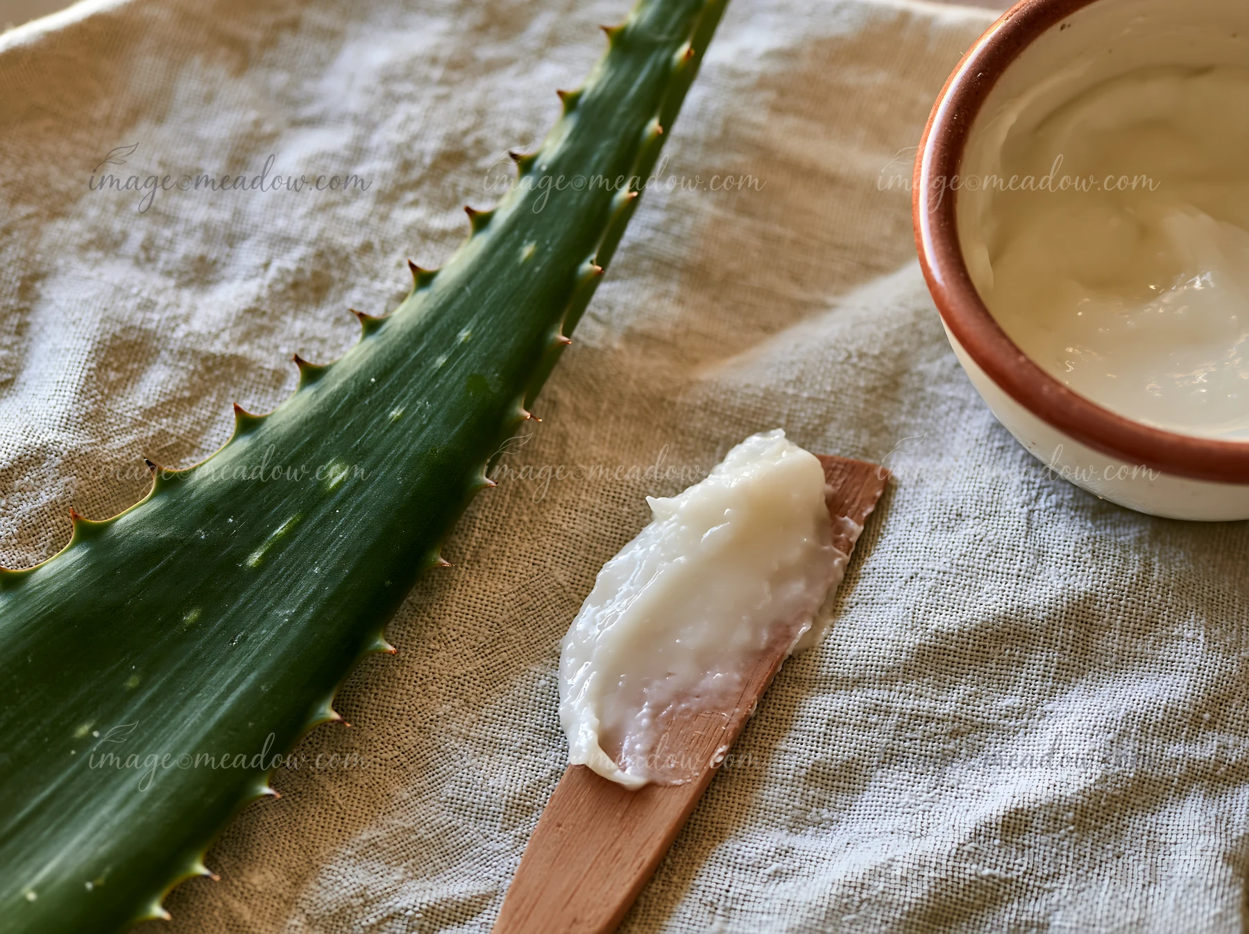 Aloe vera leaf rests beside a cream dose on a wooden spatula.