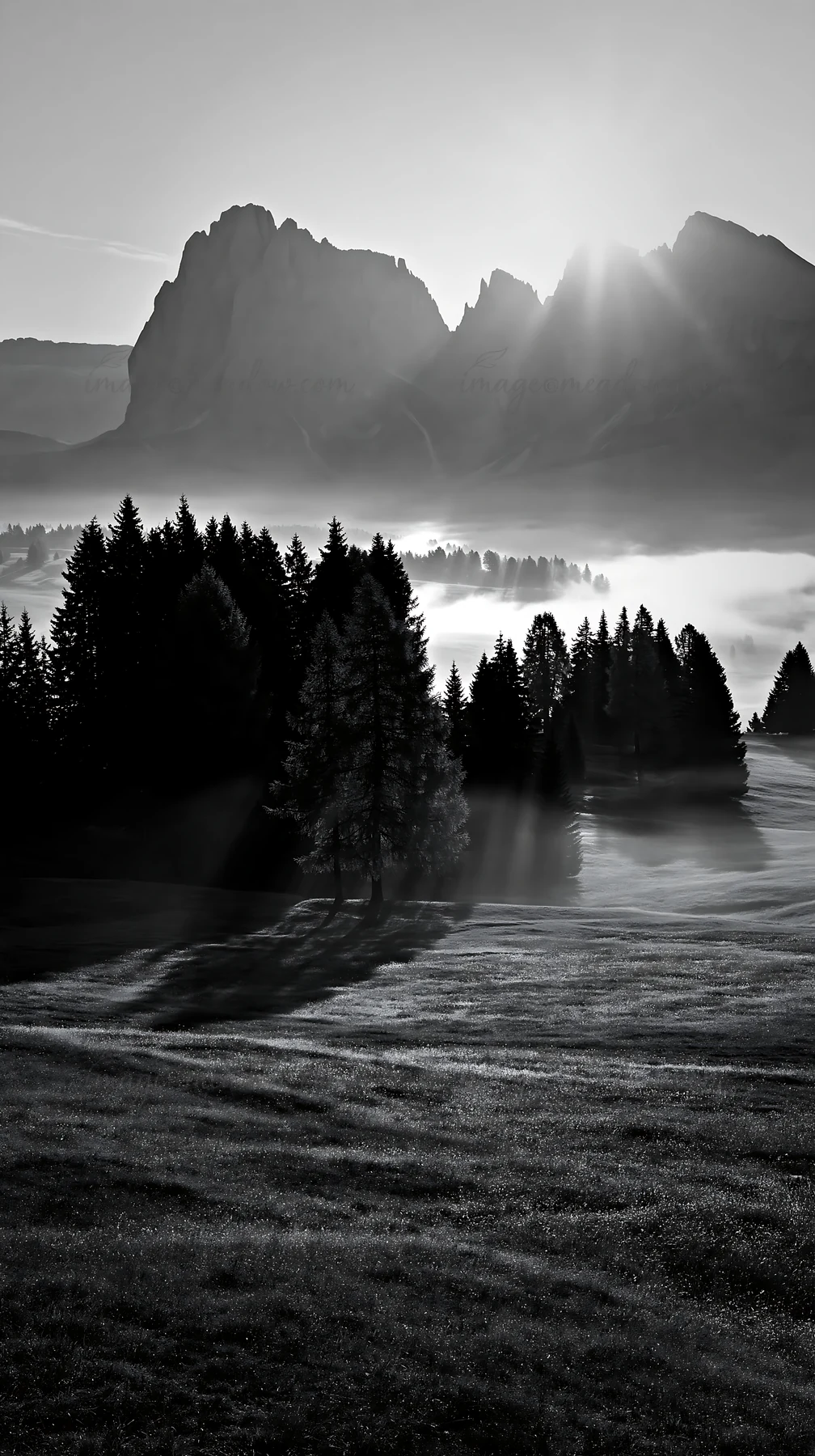 Sunlight breaks through the mountains at Alpe di Siusi meadow. Trees are outlined by the warm light. Fog covers the lower ground, creating a layered view of the