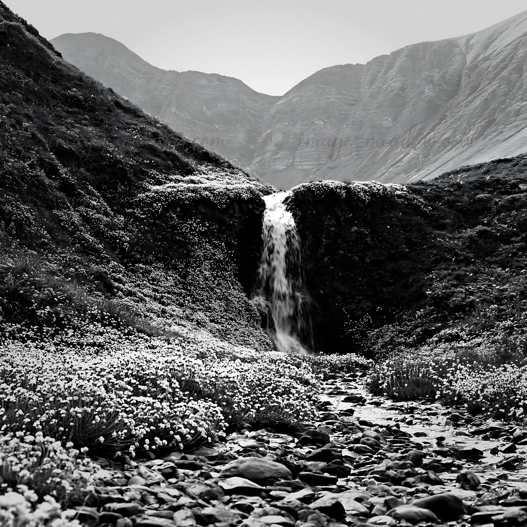 A waterfall flows down rocky terrain surrounded by blooming flowers. The scene is set in the mountains during daylight hours, showcasing the natural beauty of t