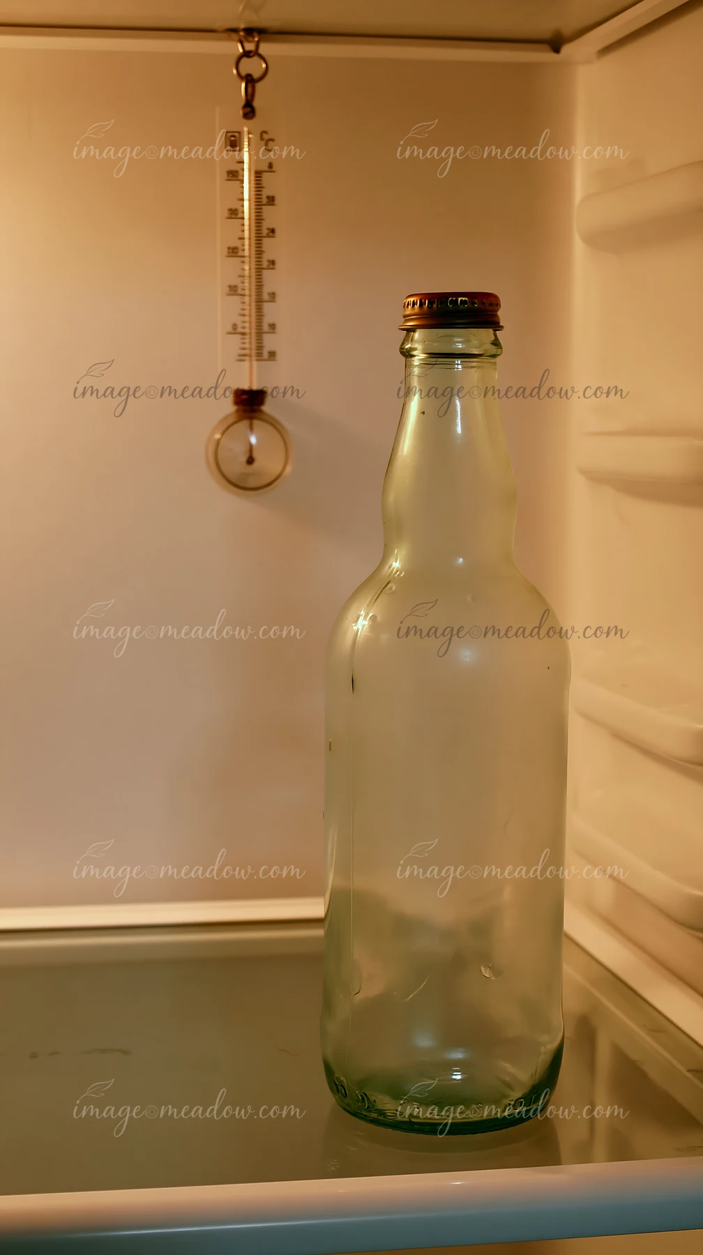 An empty bottle sits on a shelf inside a refrigerator.