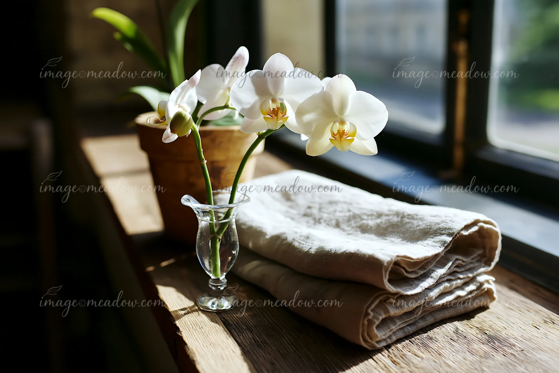 An orchid flower on windowsill sits in a small glass vase beside folded linen towels.