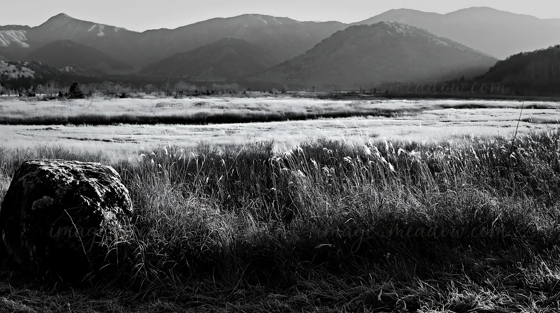 A large boulder sits in a meadow in Aomori, surrounded by tall grass and mountains in the distance. The scene is lit by soft morning light, creating a quiet atm