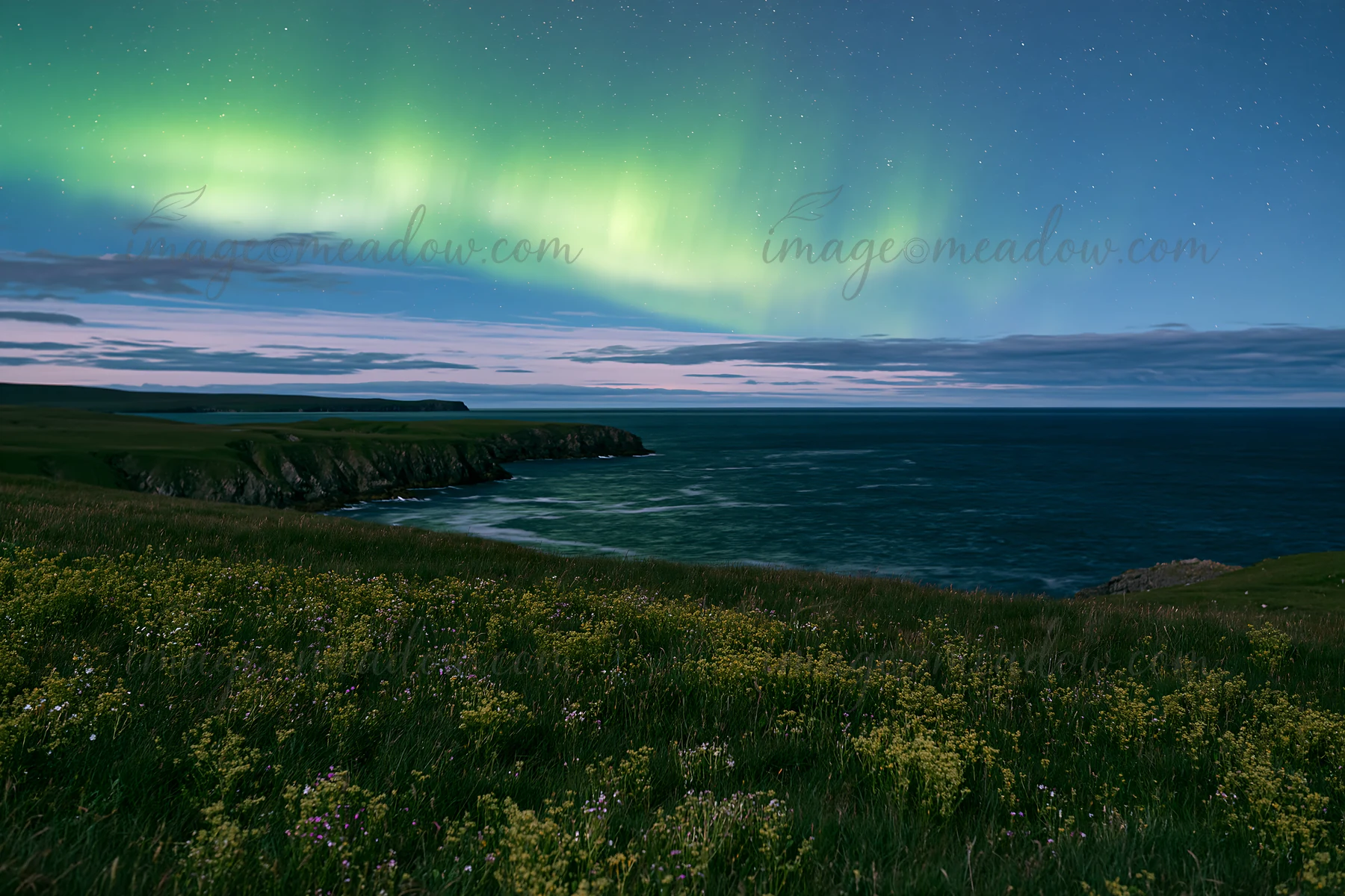 Bright aurora lights dance across the night sky above a meadow near the coastline. The ocean reflects the glow, while grass and flowers cover the foreground. A