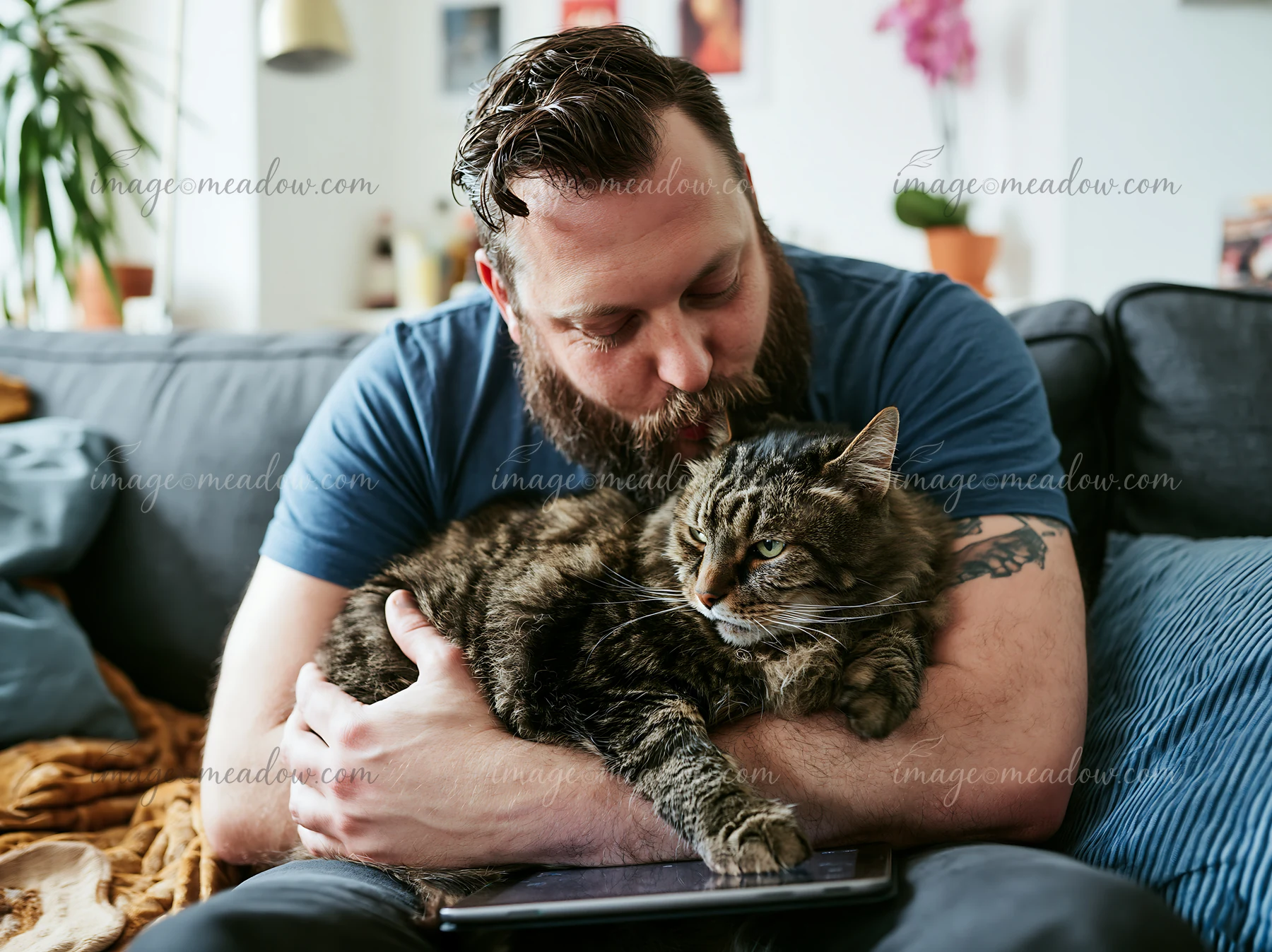 Bearded man kisses a tabby cat he is holding on a sofa in a bright living room.