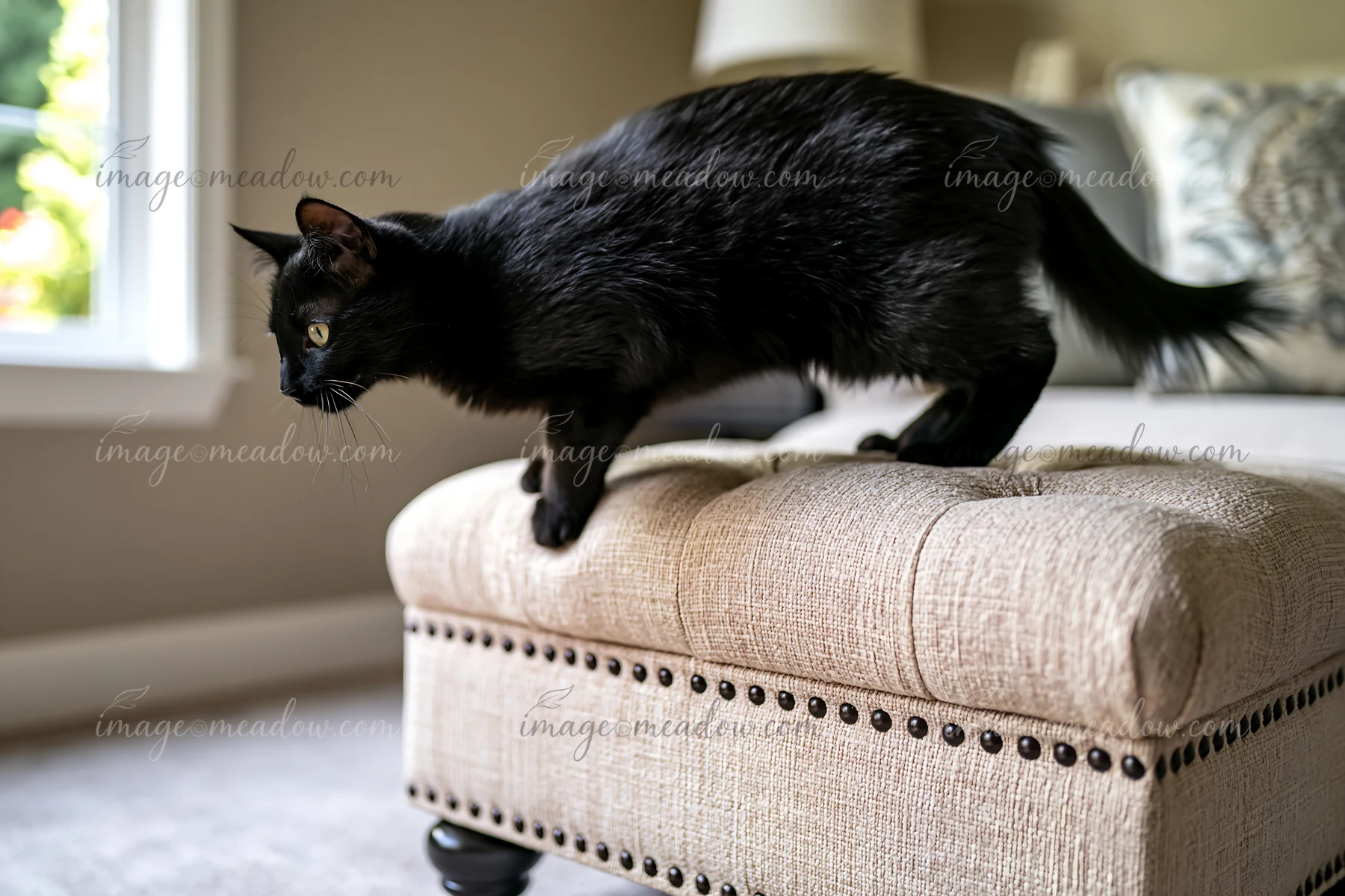 Black cat walking across a beige ottoman indoors beside a bright window.