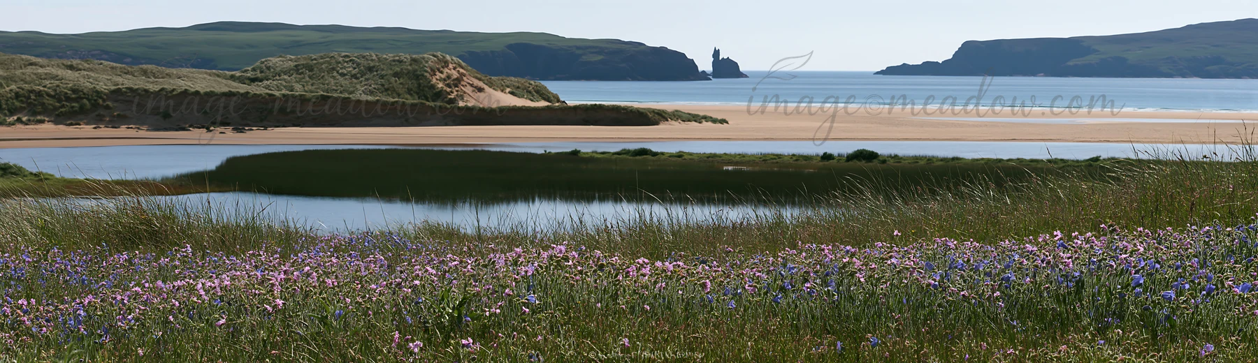 A meadow filled with campion bellflowers stretches across the scene, framed by water and sandy shores. The coastline is visible, with hills in the distance unde