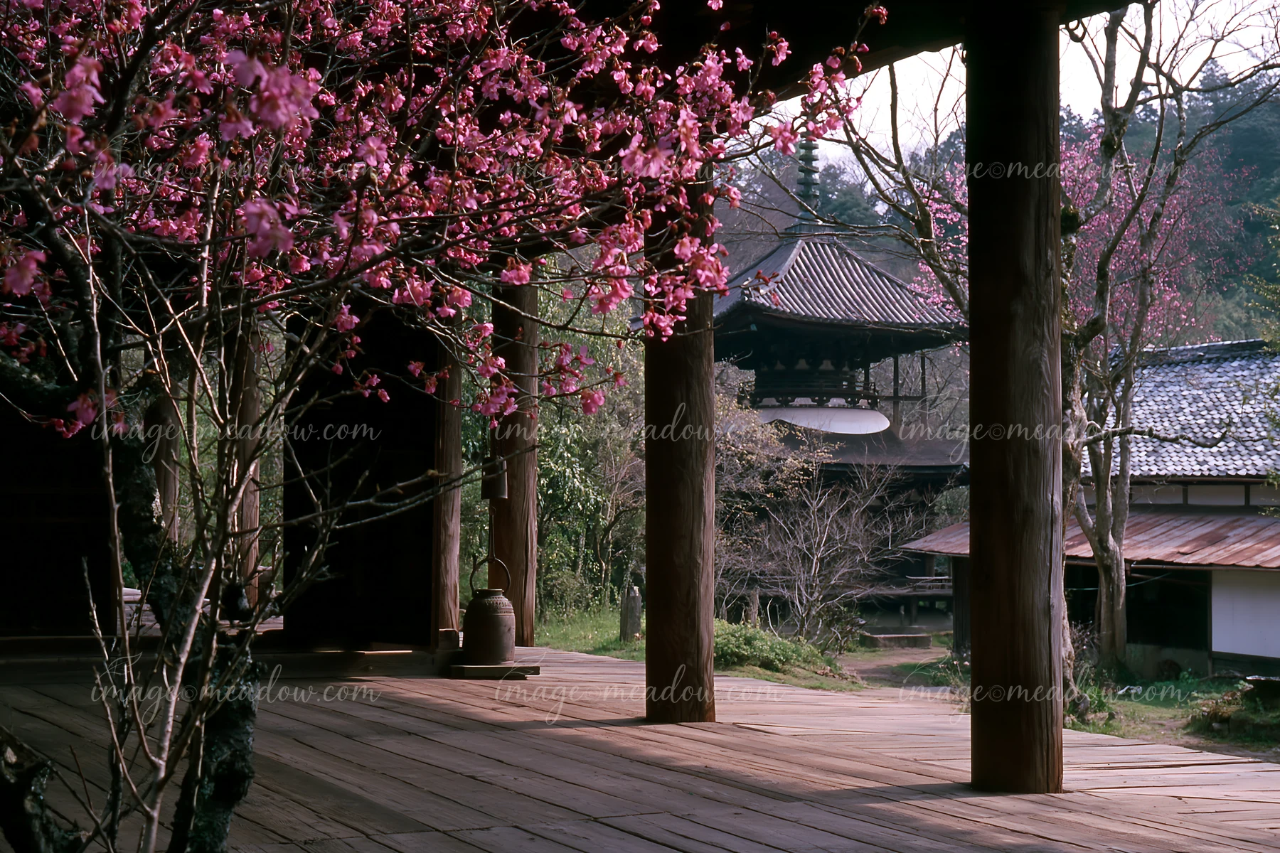 Cherry blossom branches against a Japanese pagoda create a beautiful scene in a traditional Japanese garden.