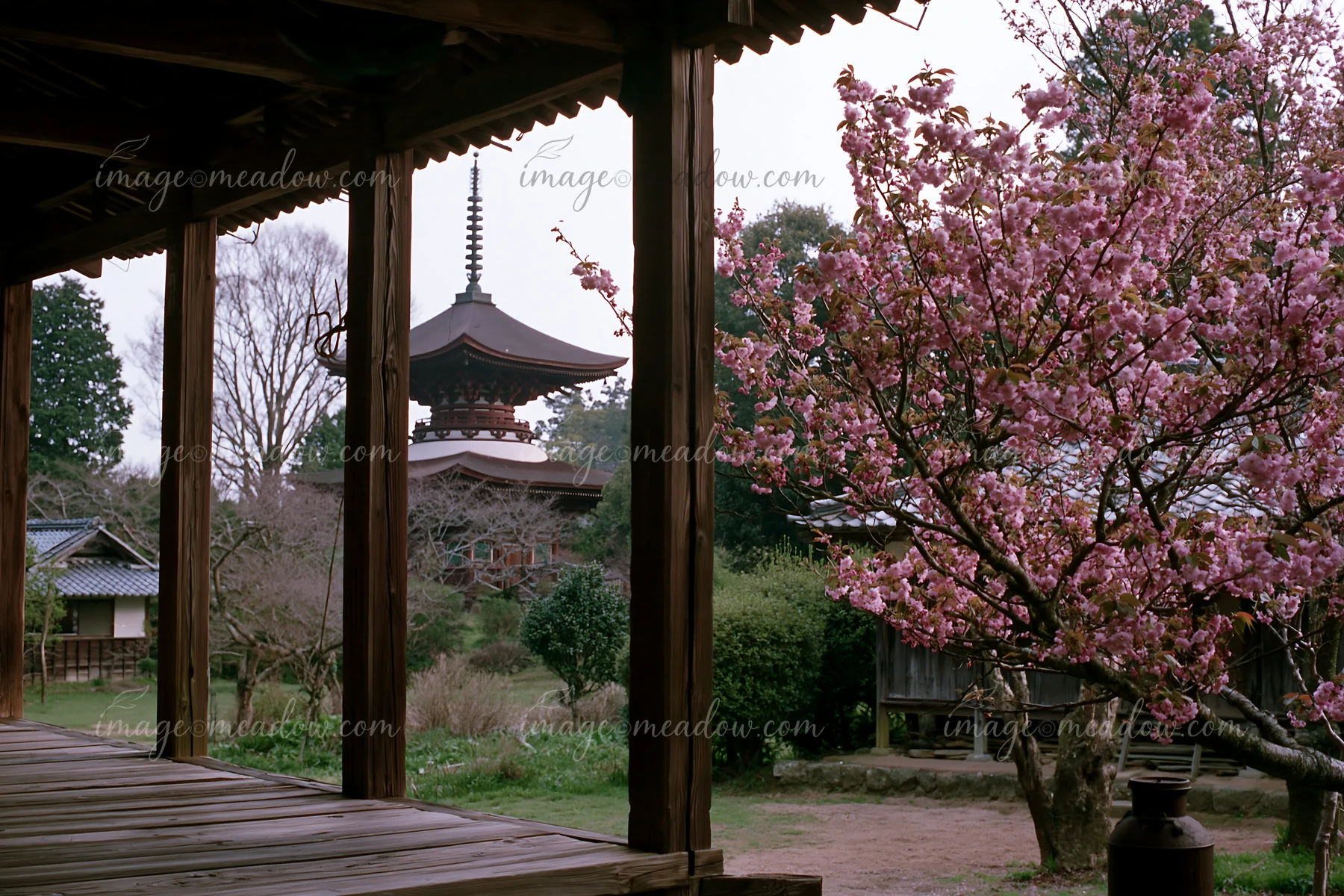 Cherry blossom branches against a Japanese pagoda showcase the beauty of spring.
