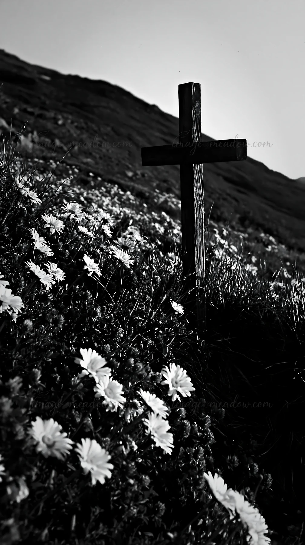 A wooden cross stands in a secluded mountain meadow surrounded by flowers. The setting captures the natural landscape and the presence of faith. The light creat