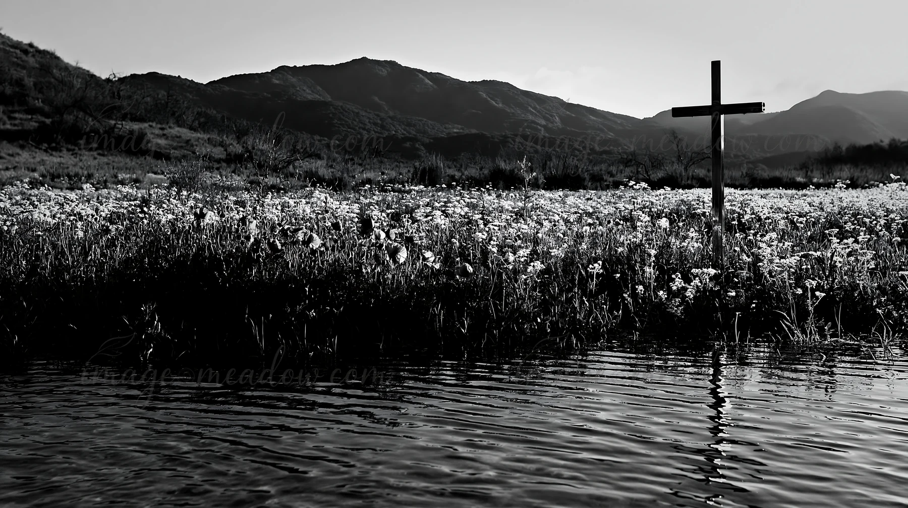 A Christian cross stands near a mineral spring meadow filled with white flowers. The mountains rise in the background under a clear sky. The water reflects the