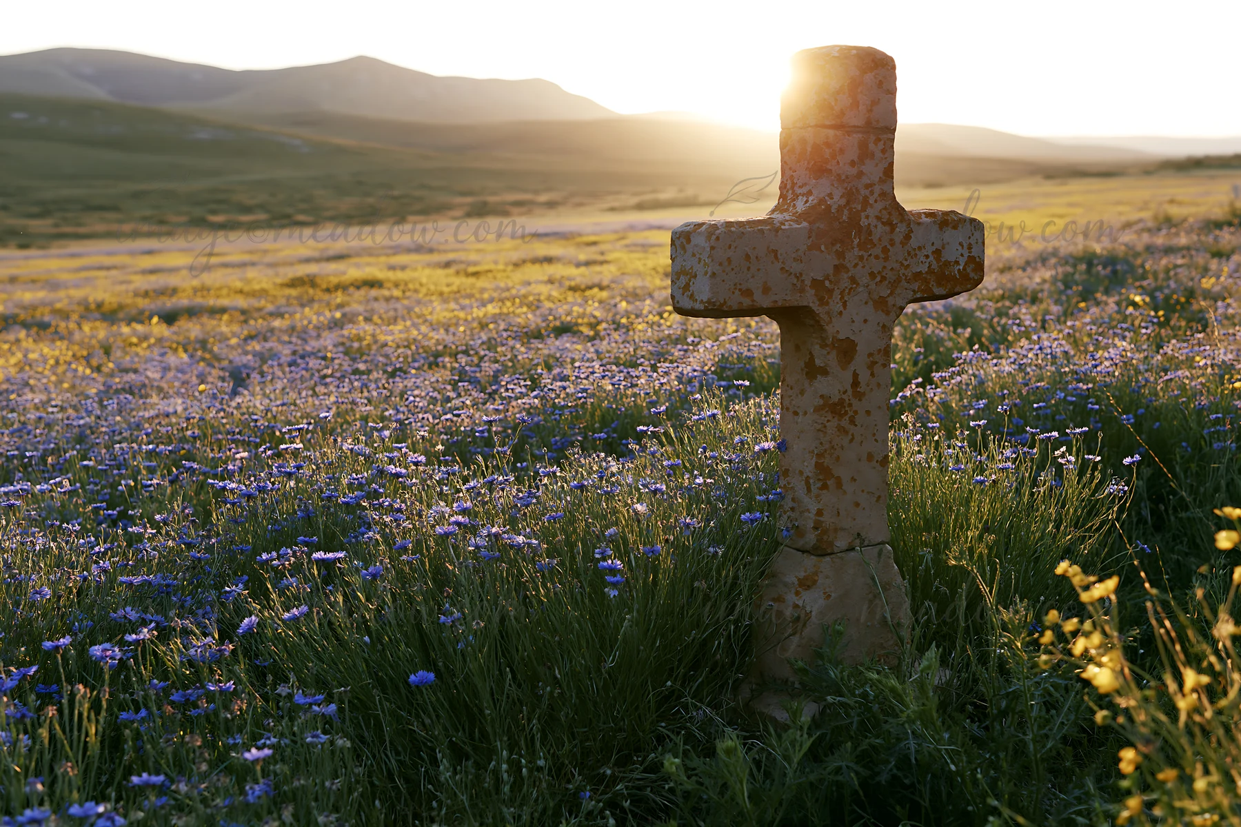 A Christian cross stands in a backlit summer meadow filled with wildflowers. The sun sets behind the mountains, casting warm light across the landscape. This sc