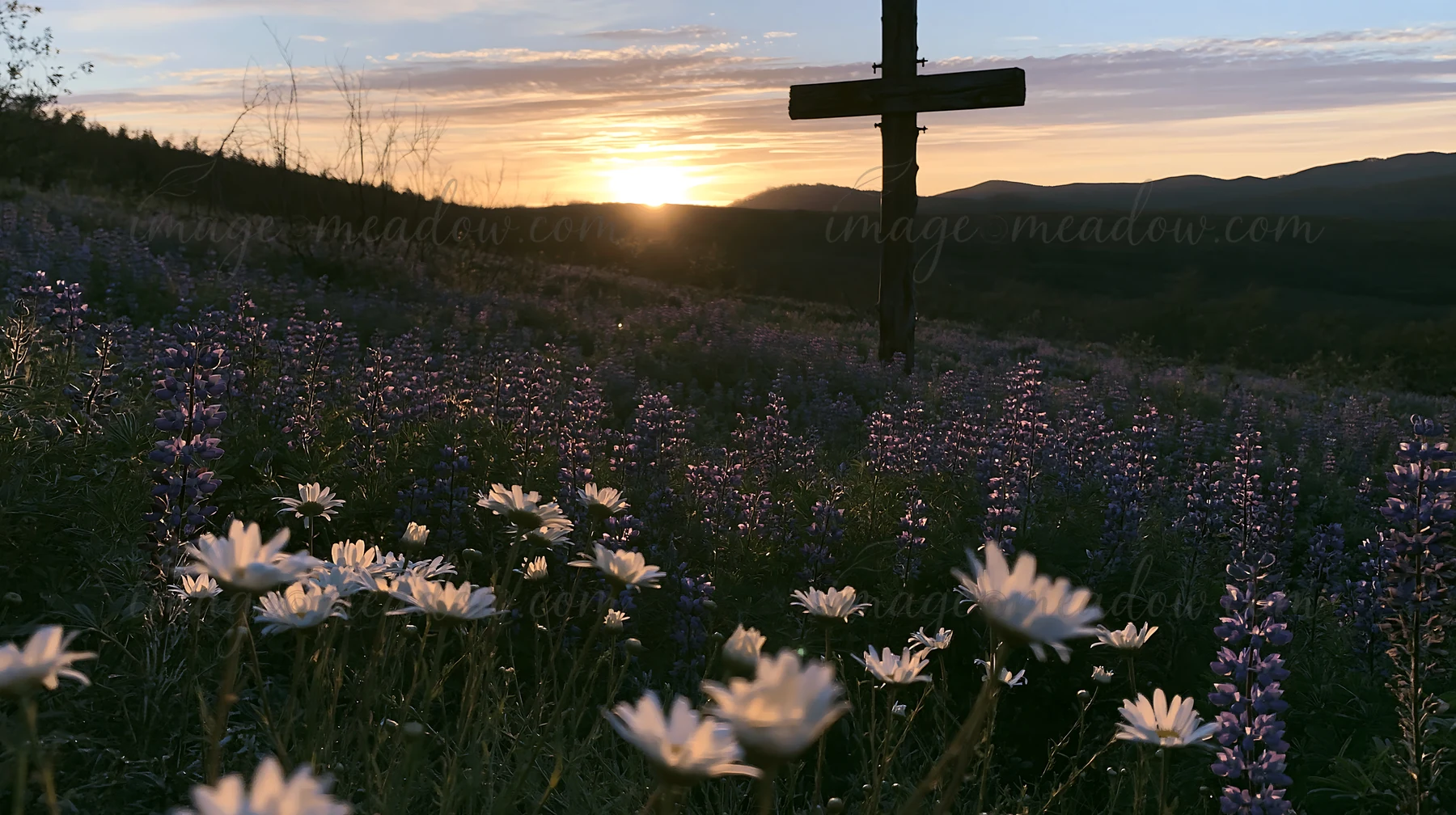 A wooden cross stands amidst wildflowers in a meadow during the blue hour of sunset. The sky fades with soft colors as the sun sets behind distant mountains.