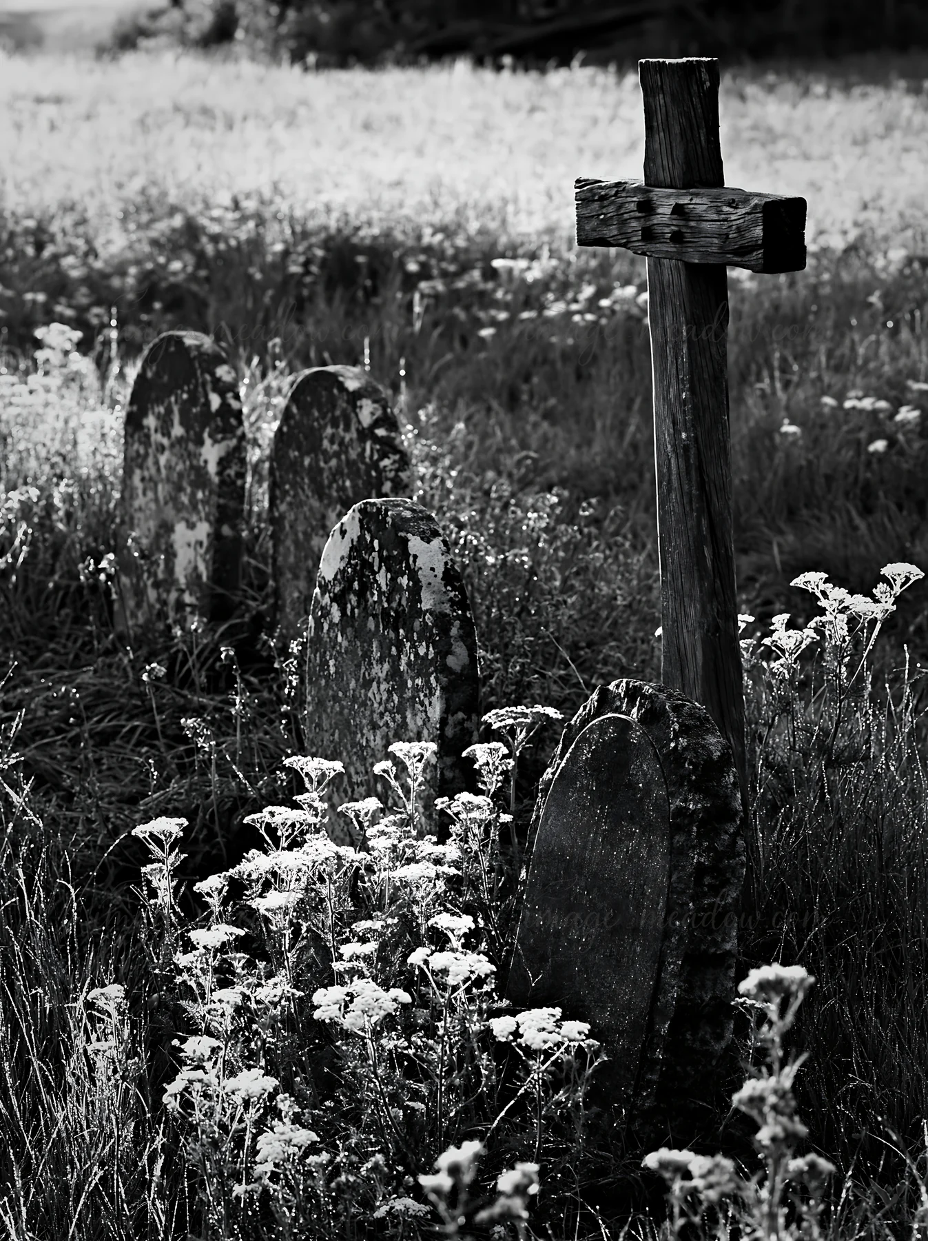 A cross stands among weathered gravestones in a meadow. Wildflowers grow around the stones as the sun rises on the horizon, casting soft light over the scene.