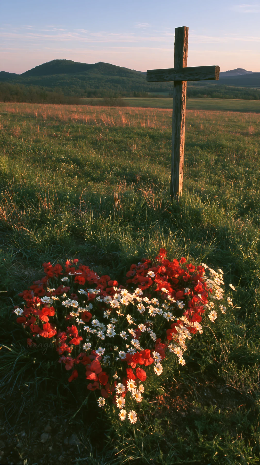 A wooden cross stands in a grassy meadow at sunrise. Surrounding the cross is a heart-shaped arrangement of red and white flowers. The scene captures the early