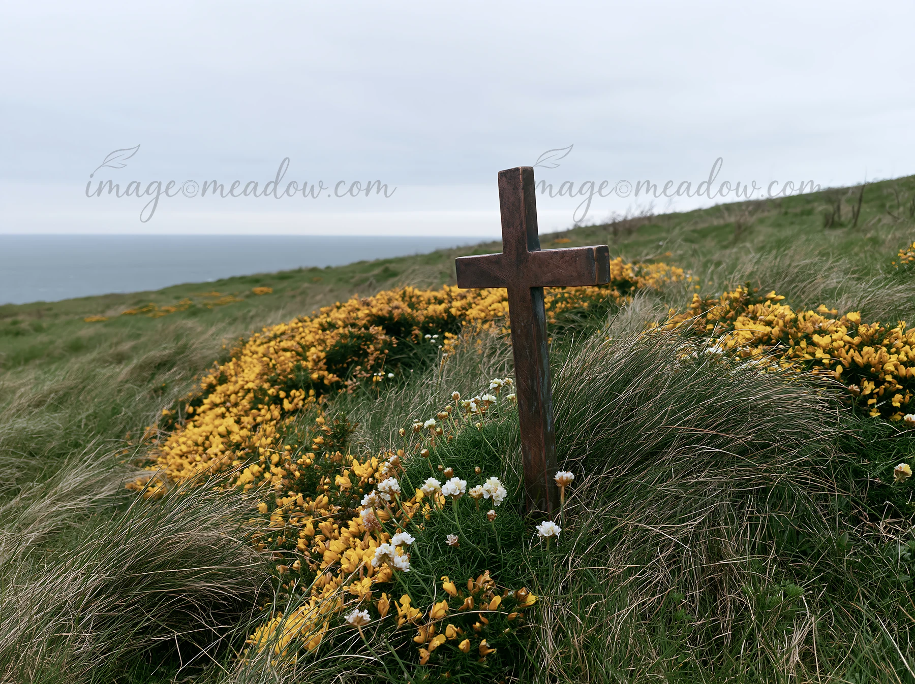 A Christian cross stands in a meadow filled with yellow and white flowers. The location is near the ocean, creating a simple backdrop. The sky appears cloudy, a