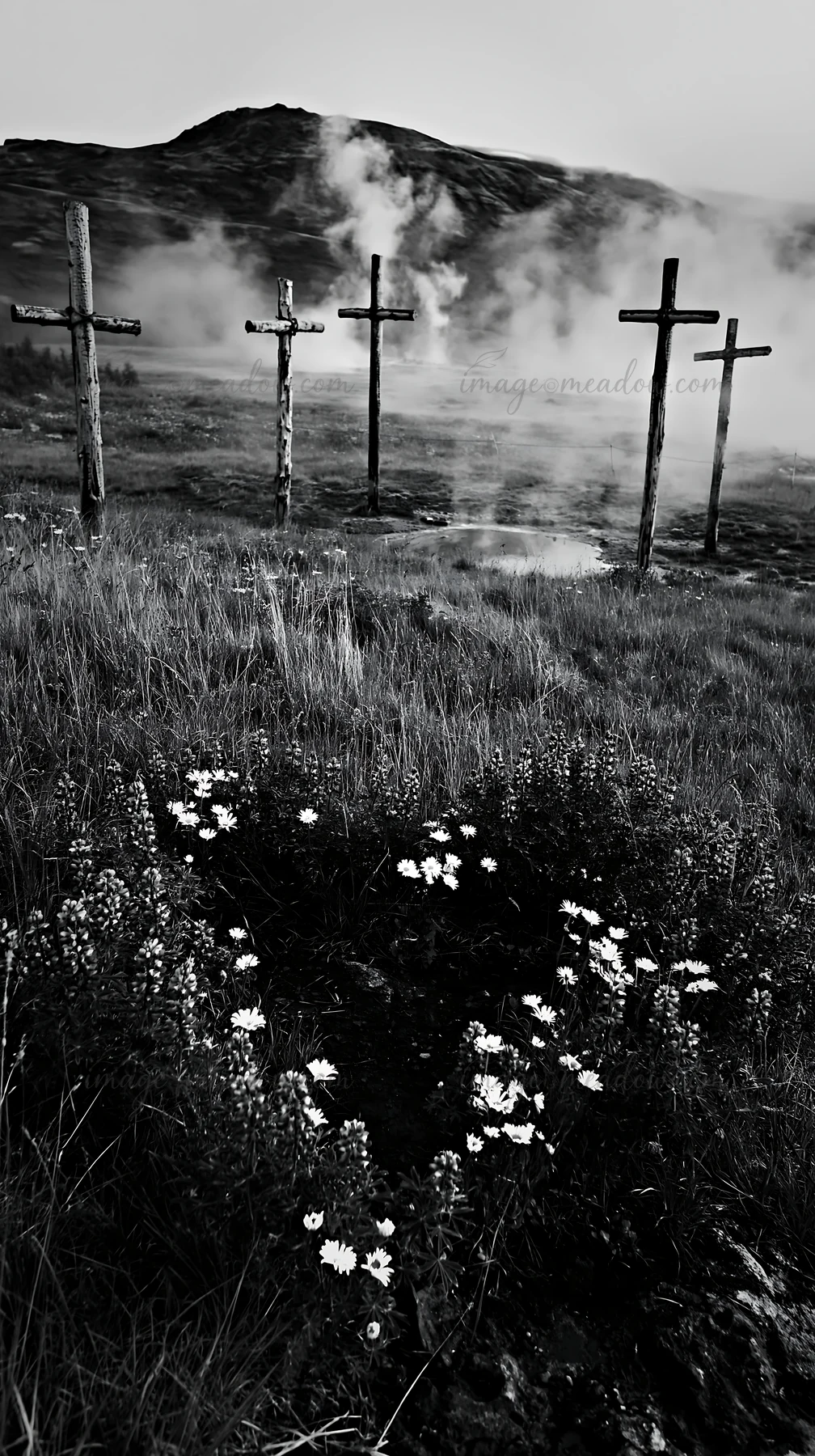 Crosses stand in a geothermal spring meadow with steam rising from the ground. Wildflowers grow in the foreground, creating a natural setting in a mountainous a