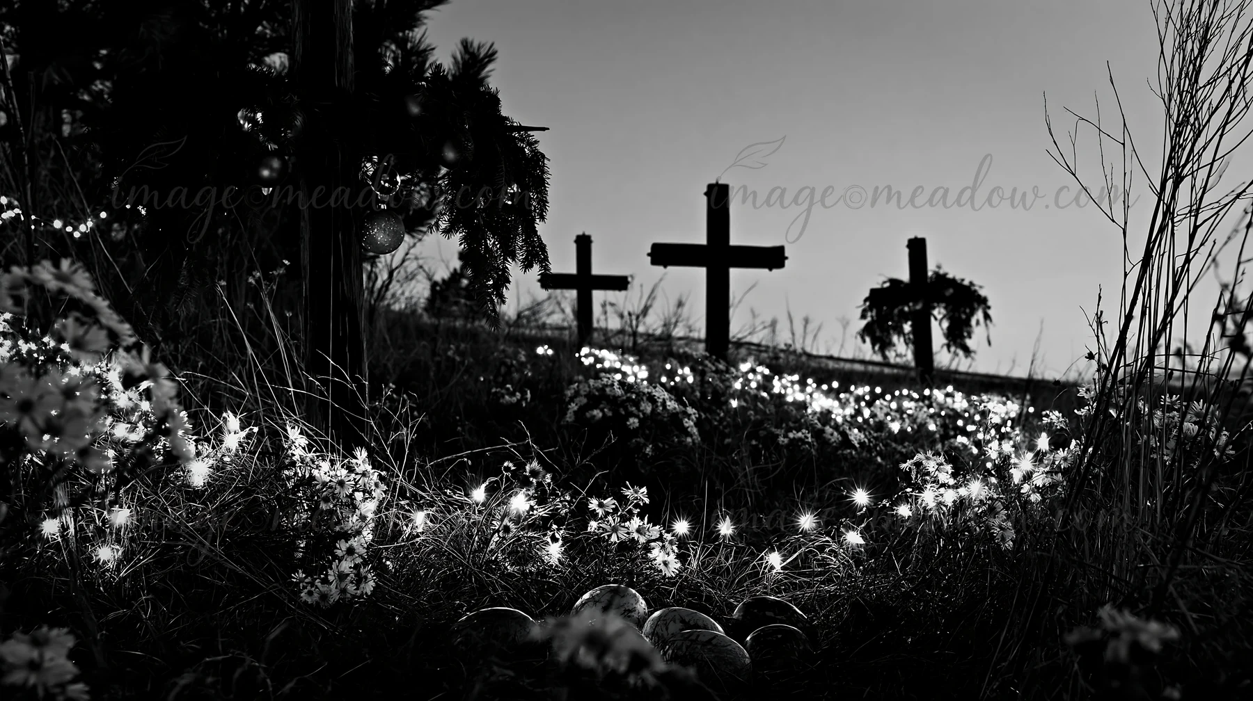 Crosses stand in a conservation meadow surrounded by flowers and grass. The setting sun casts a soft light, creating a peaceful scene. This captures a moment of