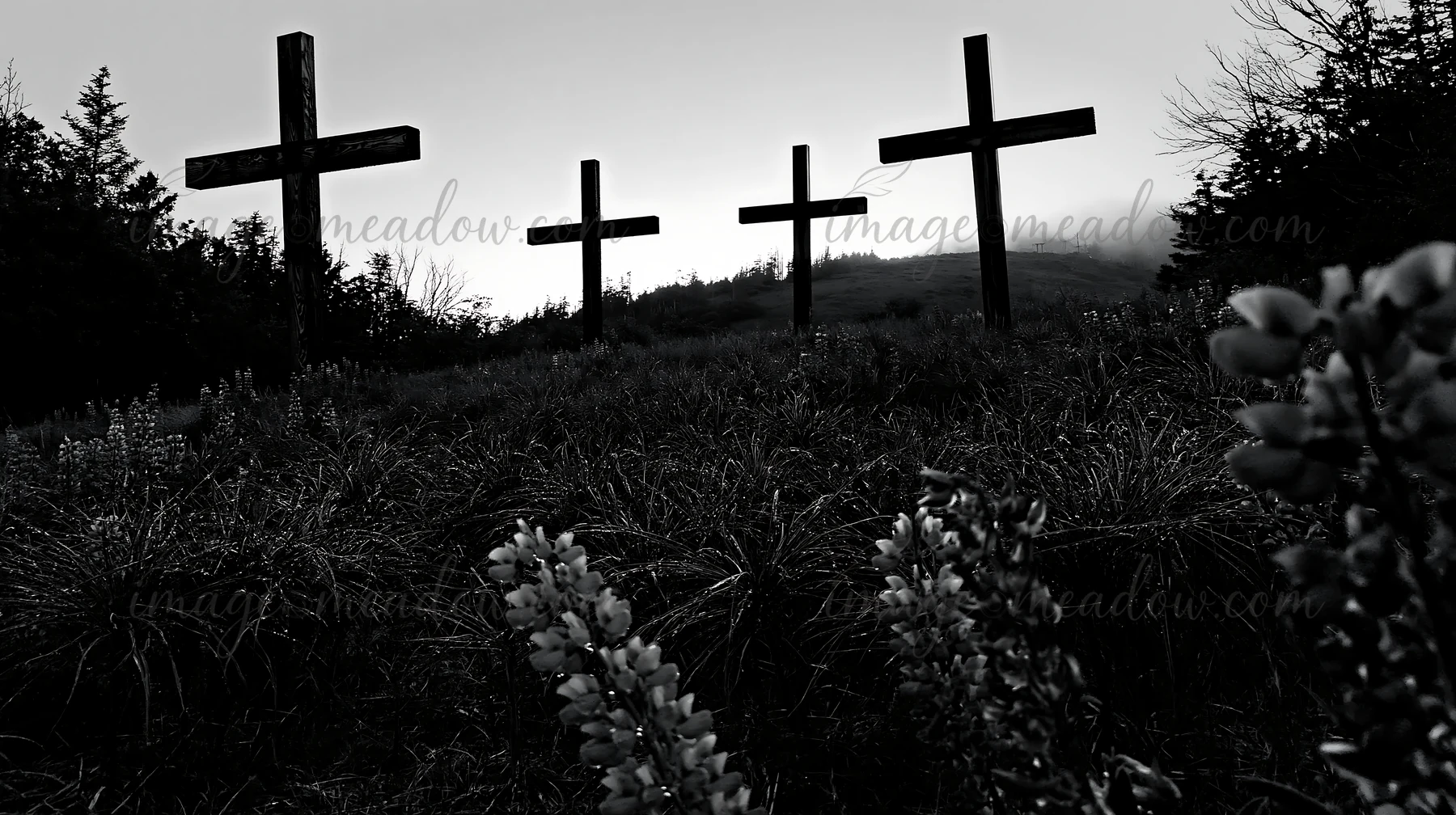 Four crosses stand in a meadow during a rainy evening. The grass is wet and flowers are visible in the foreground. Fog is present in the background. The scene c