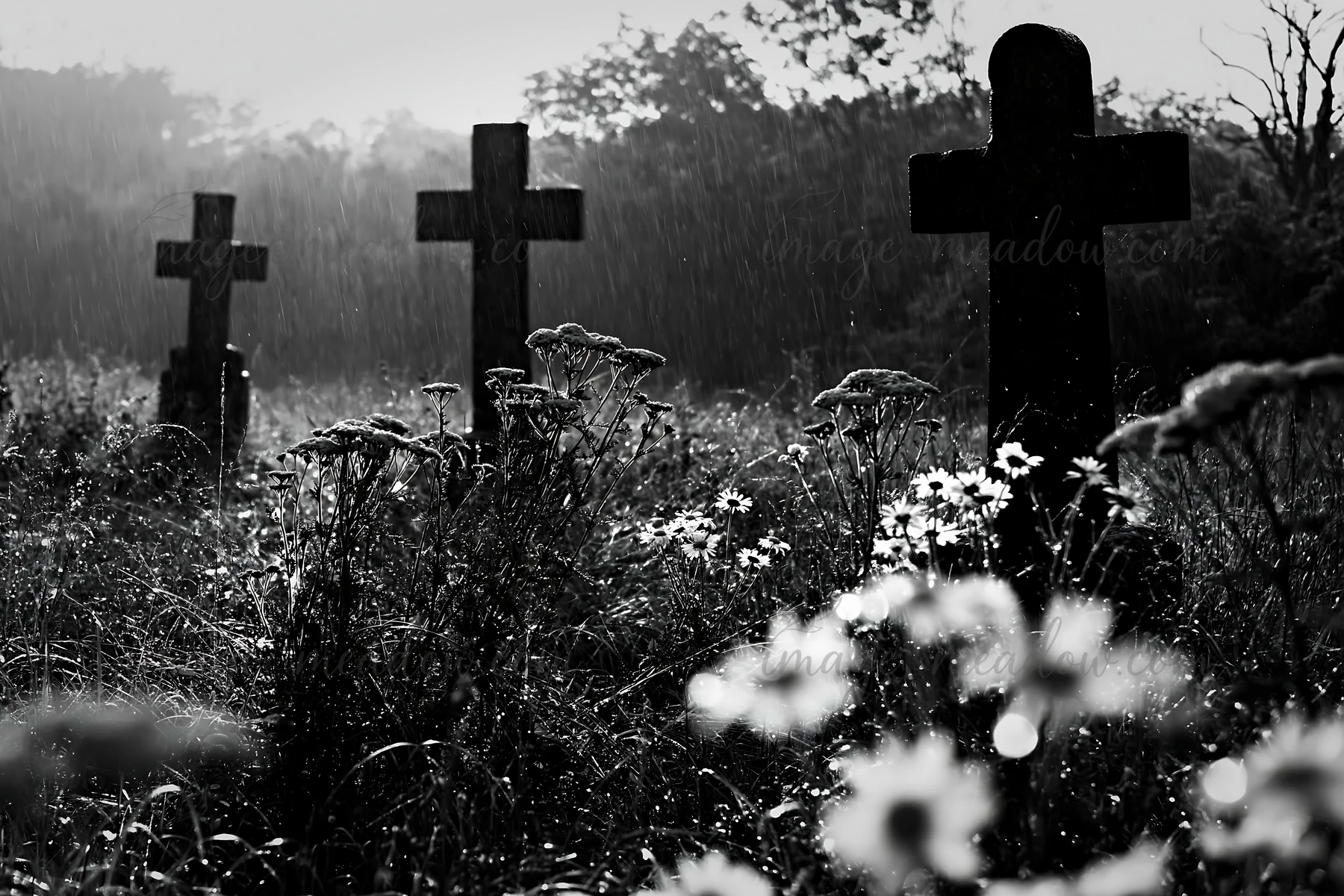 Christian crosses stand in a meadow as rain falls, surrounded by wildflowers. The scene captures the atmosphere of a quiet moment in nature. The wet ground and