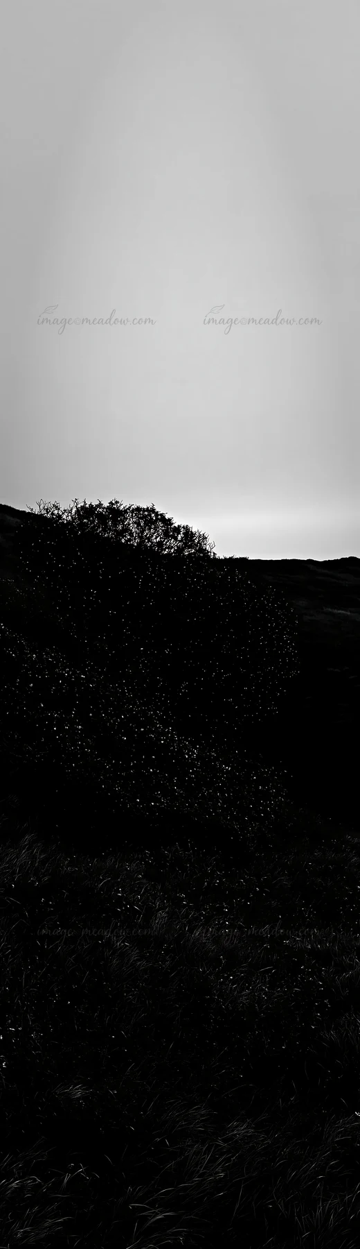 Christmas lights illuminate the area next to a cave in a meadow. The scene takes place during dusk, creating a contrast between the lights and the dark surround