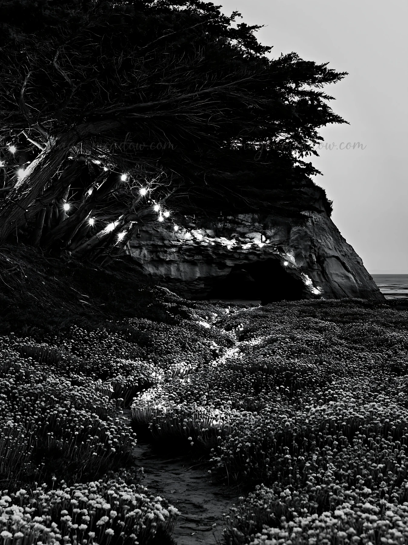 Bright Christmas lights are strung along the trees next to a cave in a meadow filled with tall grass and flowers. The scene is set during dusk, with soft light