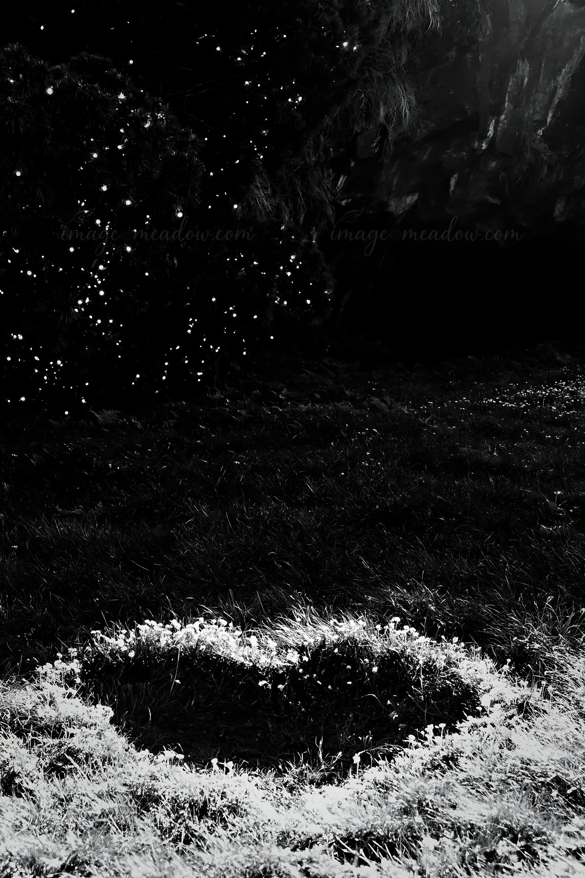 Colorful Christmas lights are illuminated near a cave in a meadow. The lights create a festive atmosphere, contrasting against the dark cave and grassy field. T