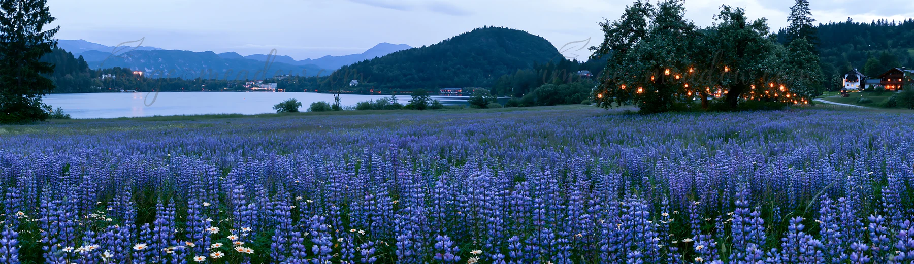 Apple trees and lanterns are visible in the meadow by Lake Bled. Flowers cover the ground, with a view of mountains in the background. The scene captures the wi