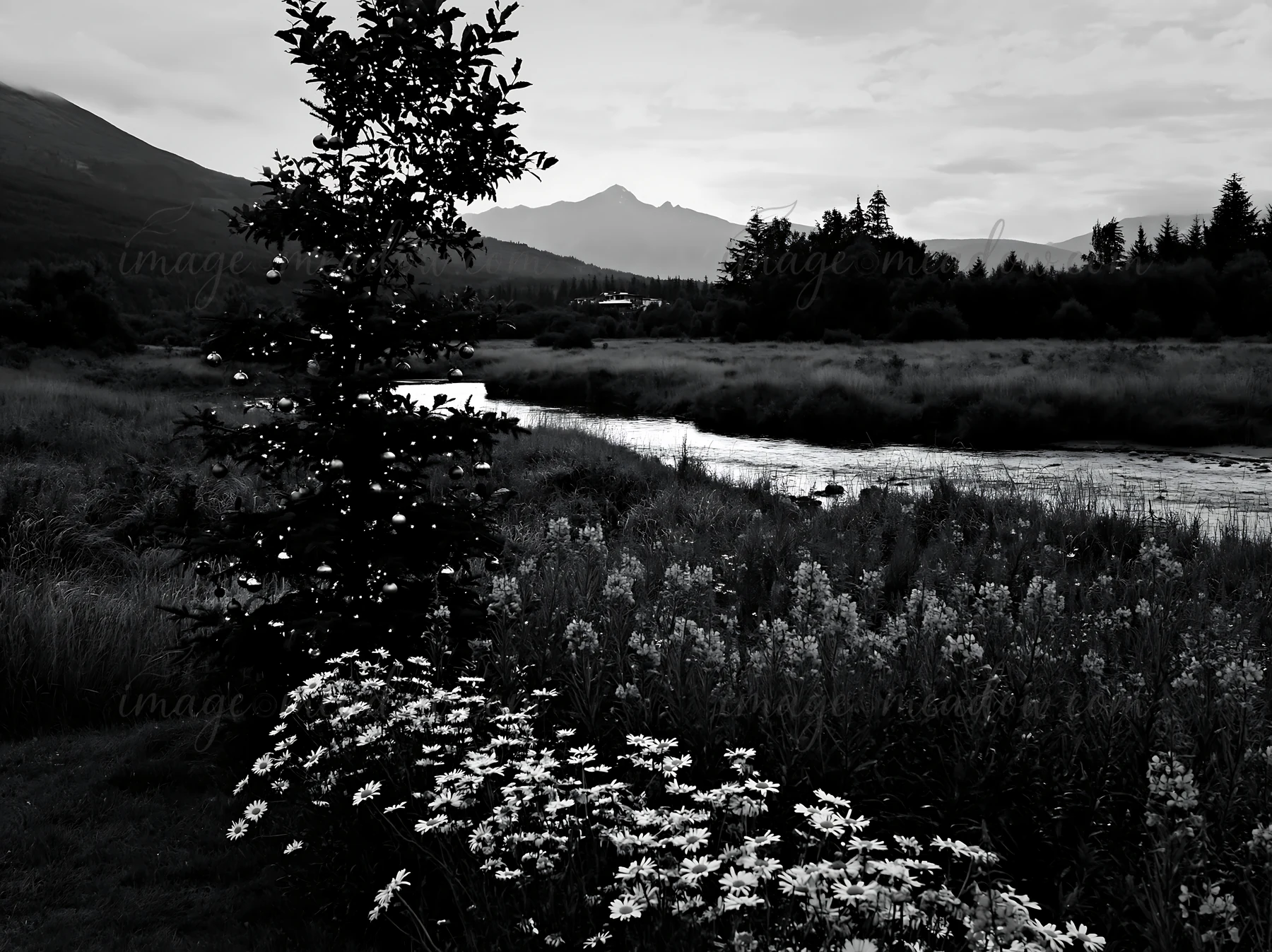 A Christmas tree stands beside a stream flowing through a meadow filled with wildflowers. Mountains are visible in the background, and the sky appears overcast,