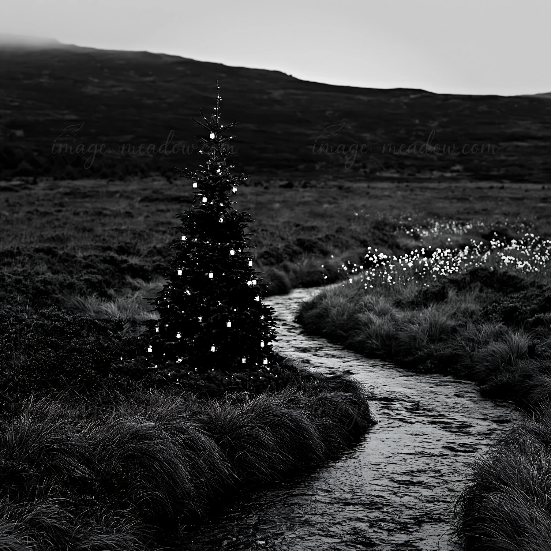 A Christmas tree stands next to a flowing stream in a grassy meadow. The scene is set in winter, with decorations on the tree illuminating the surroundings.