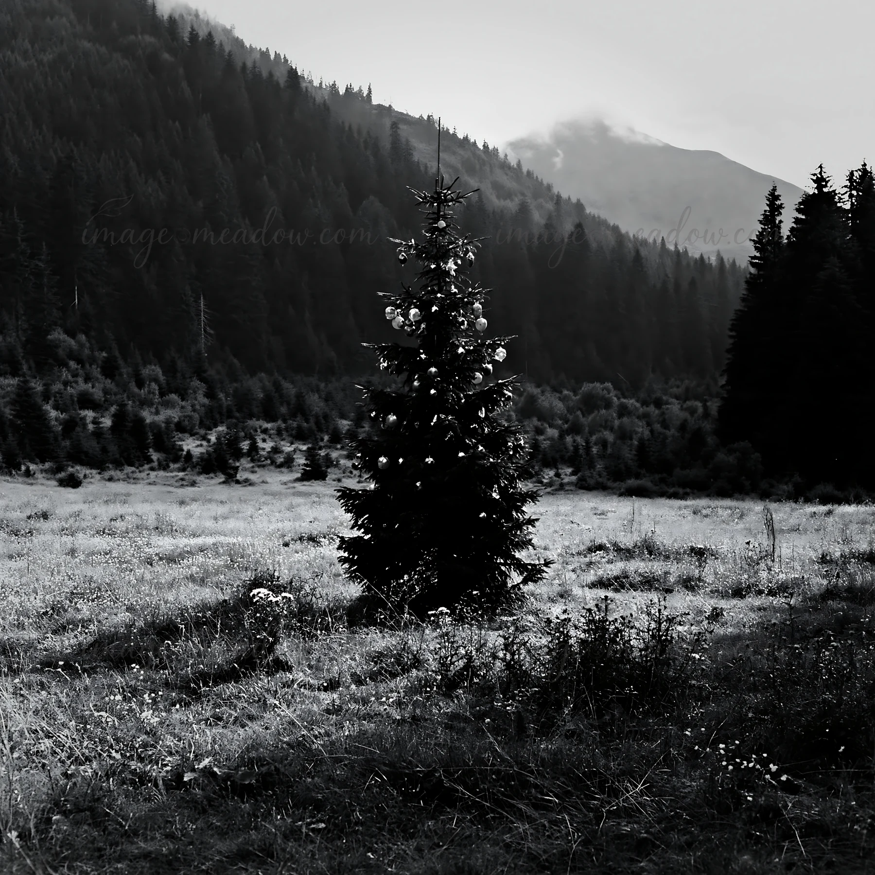 A Christmas tree stands alone in a mountain meadow, decorated with baubles. The surrounding landscape includes trees and hills, creating a natural setting. The