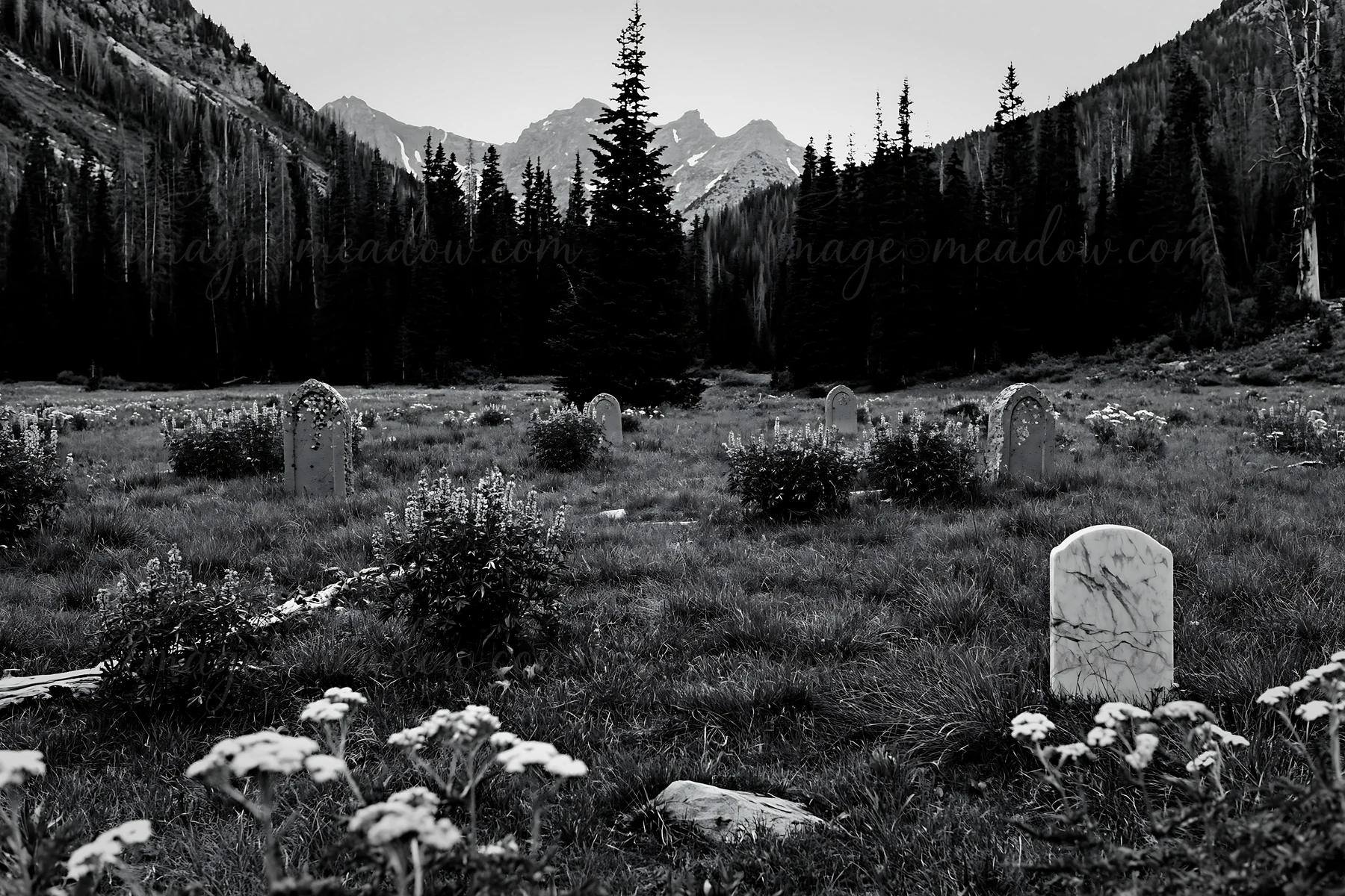 A Christmas tree stands in a meadow surrounded by mountains. The area features gravestones scattered across the grass, with flowers growing nearby, capturing a