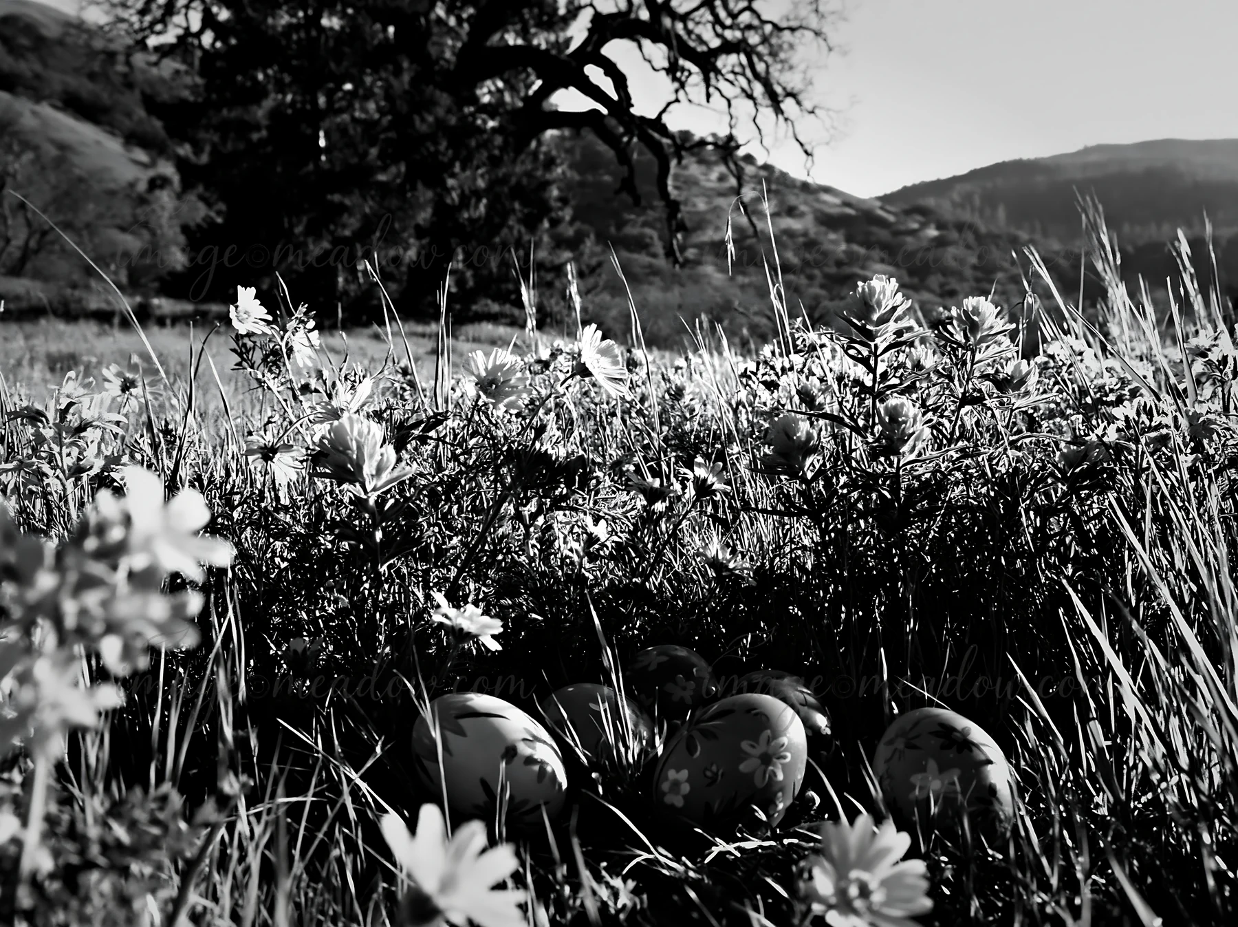 A Christmas tree stands in a wide meadow surrounded by flowers. The tree is set against a bright sky and grassy landscape during daylight.
