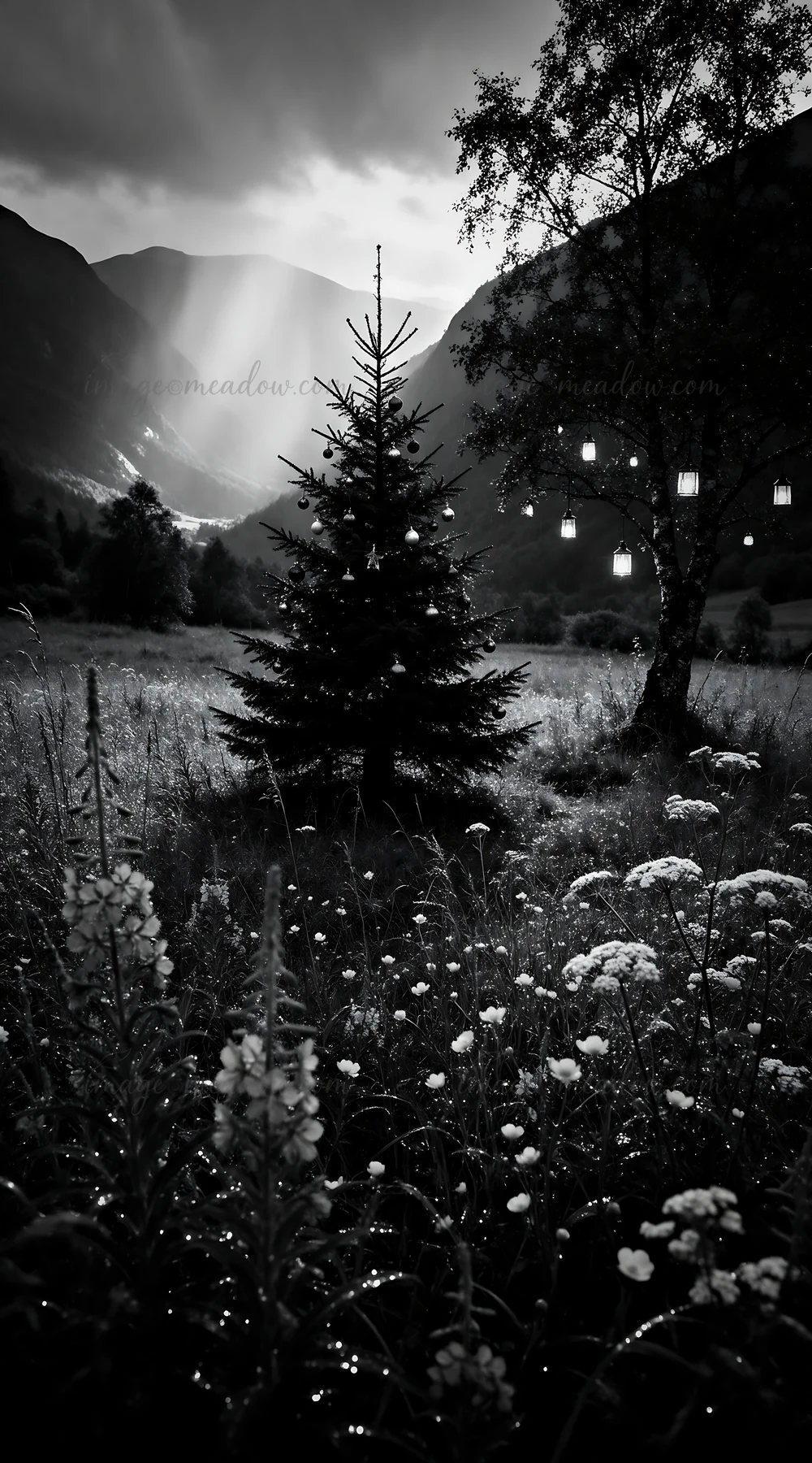 A Christmas tree stands in a mountain valley meadow filled with wildflowers. Lanterns hang on nearby trees, and soft rays of light filter through the mountains