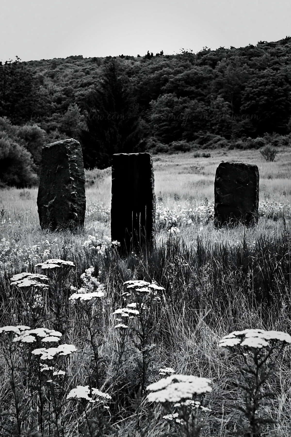 A Christmas tree stands near a meadow stream surrounded by grass and wildflowers. The setting features large stone pillars aligned in the landscape.